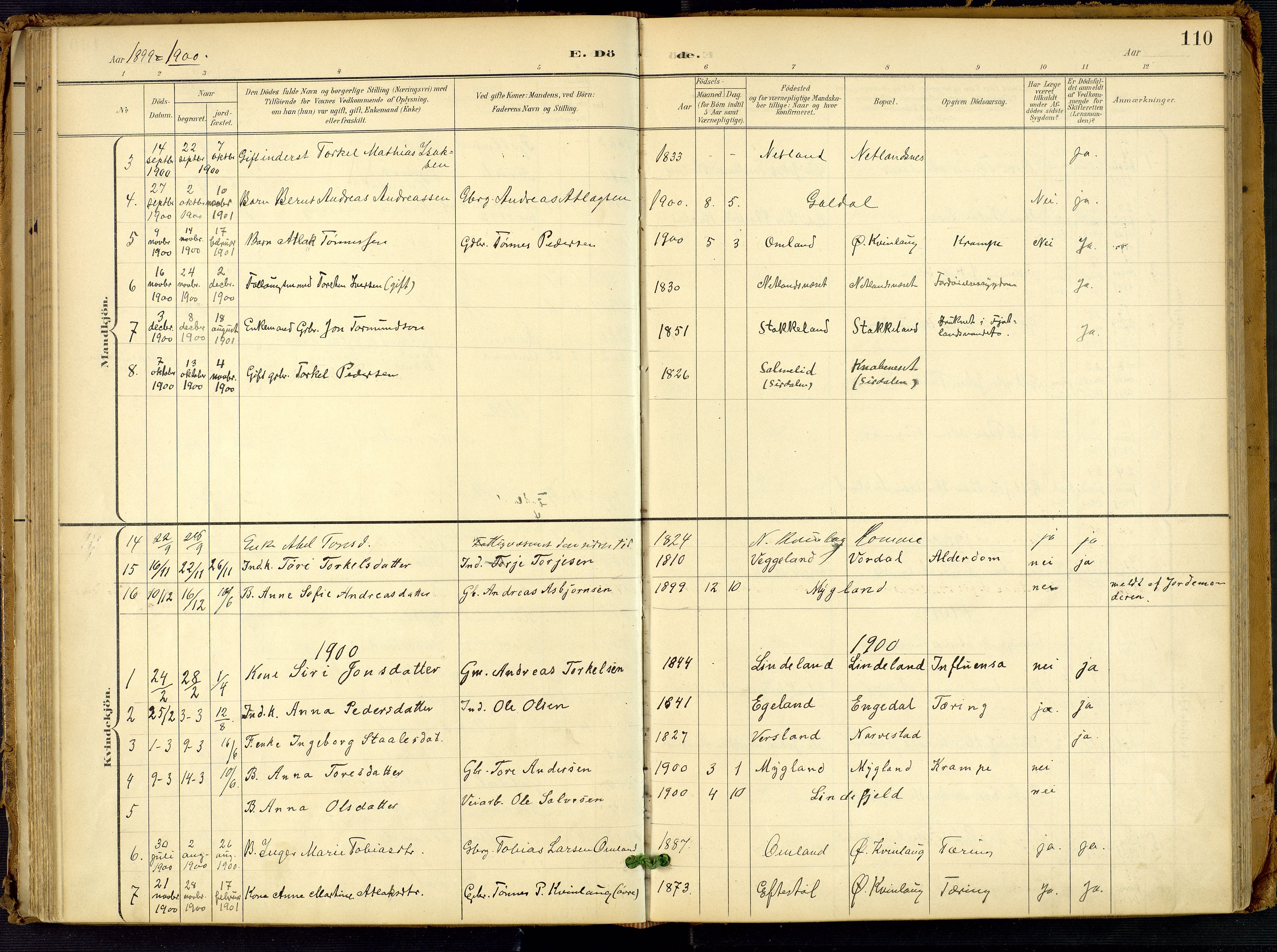 Fjotland sokneprestkontor, SAK/1111-0010/F/Fa/L0003: Parish register (official) no. A 3, 1899-1917, p. 110
