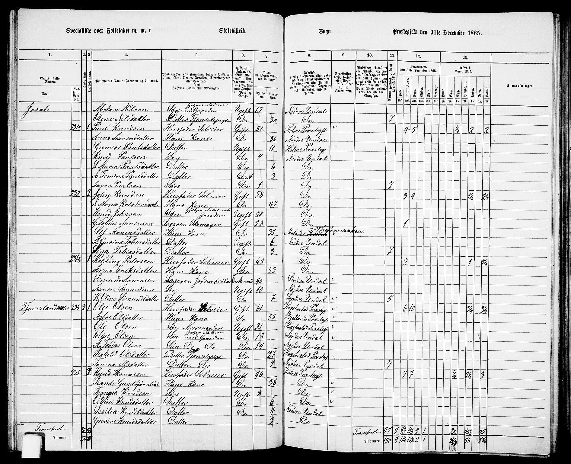 RA, 1865 census for Nord-Audnedal, 1865, p. 38