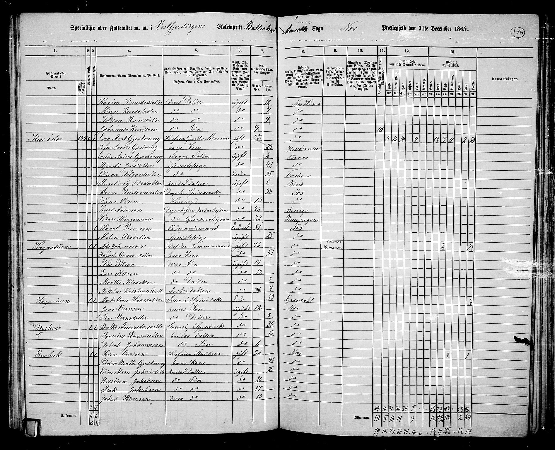 RA, 1865 census for Nes, 1865, p. 126