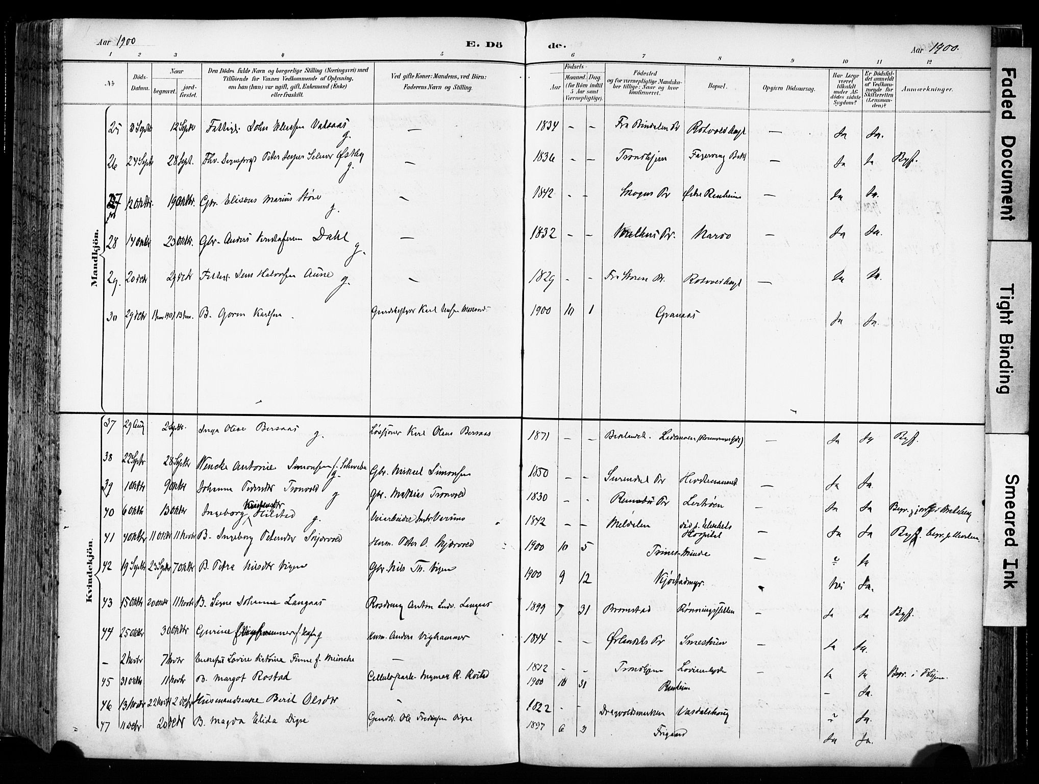 Ministerialprotokoller, klokkerbøker og fødselsregistre - Sør-Trøndelag, SAT/A-1456/606/L0301: Parish register (official) no. 606A16, 1894-1907