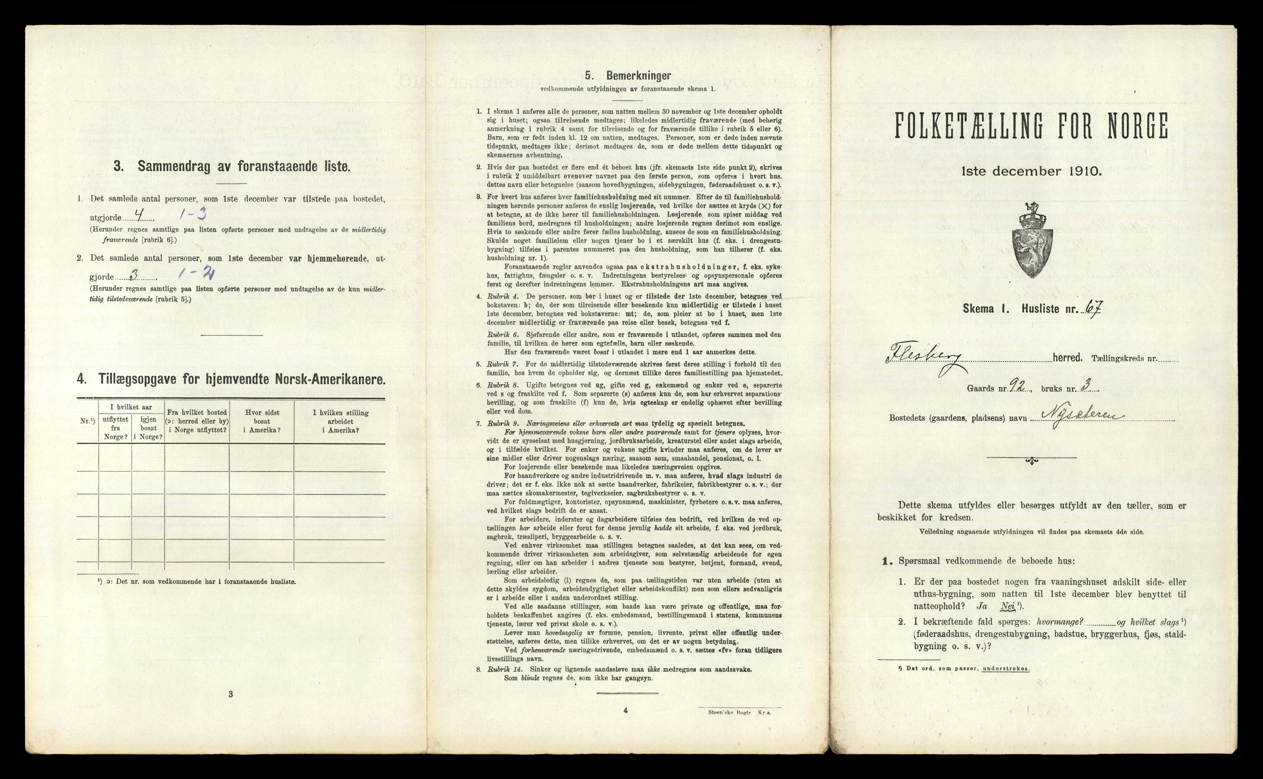 RA, 1910 census for Flesberg, 1910, p. 805