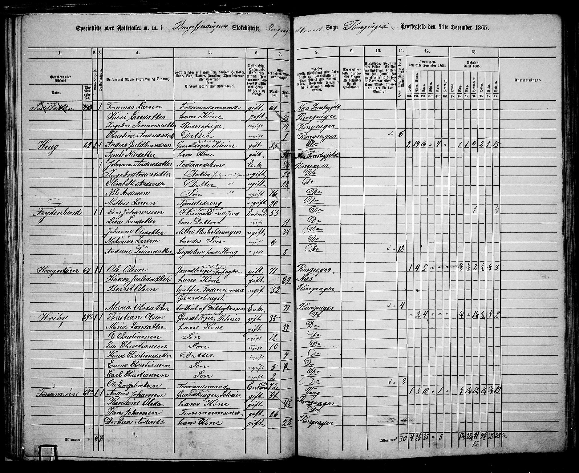 RA, 1865 census for Ringsaker, 1865, p. 76