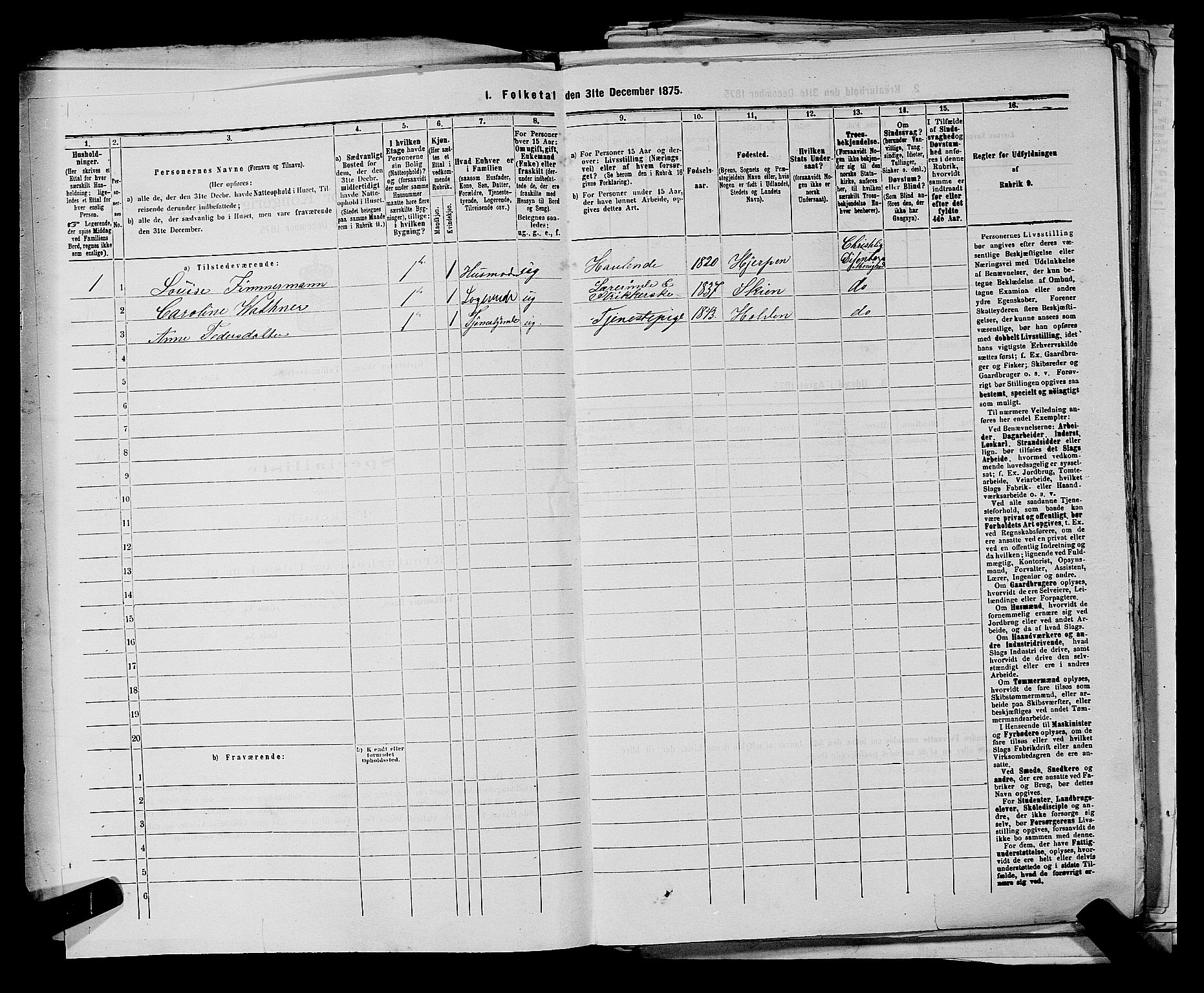 SAKO, 1875 census for 0806P Skien, 1875, p. 689