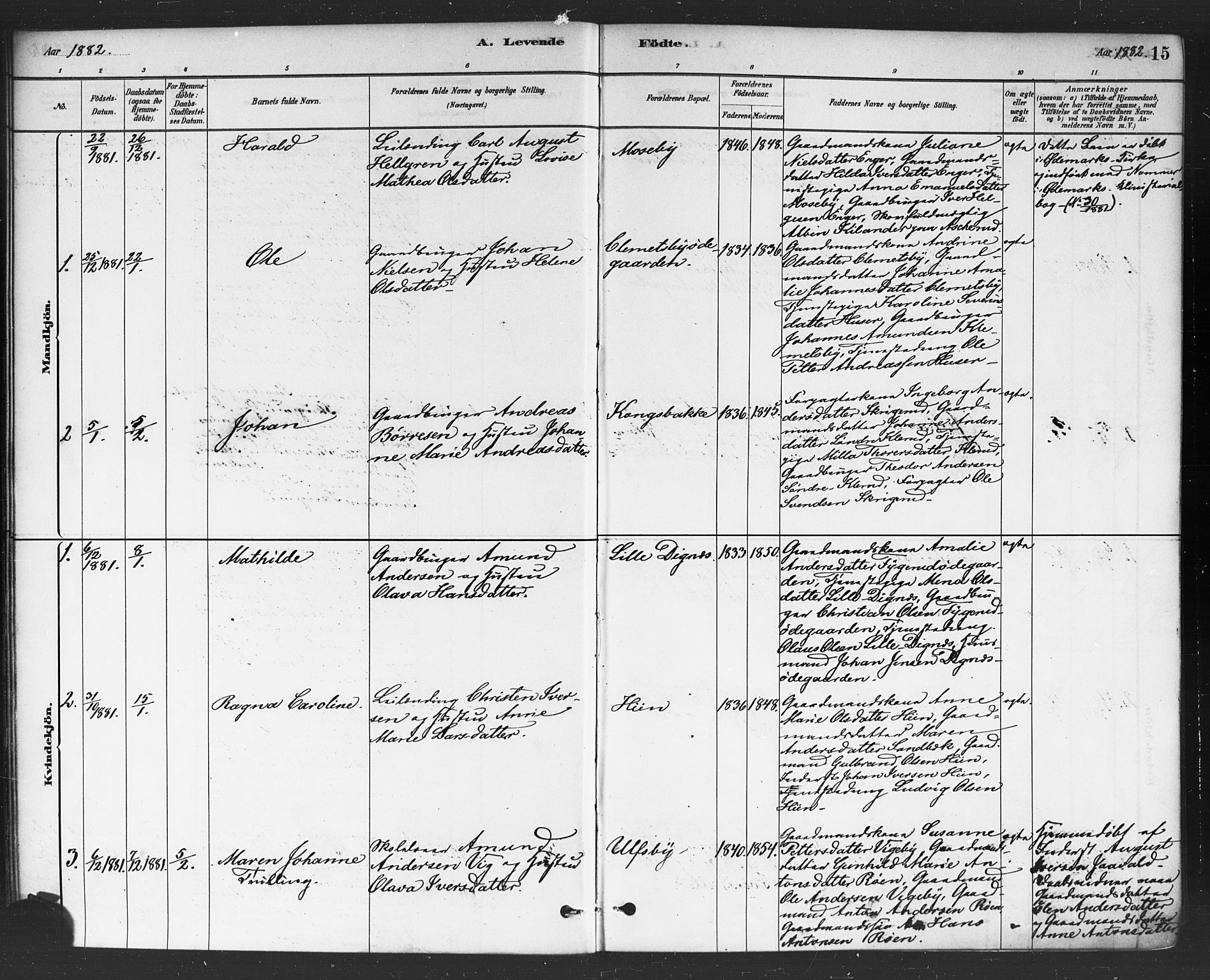 Rødenes prestekontor Kirkebøker, AV/SAO-A-2005/F/Fa/L0009: Parish register (official) no. I 9, 1880-1889, p. 15