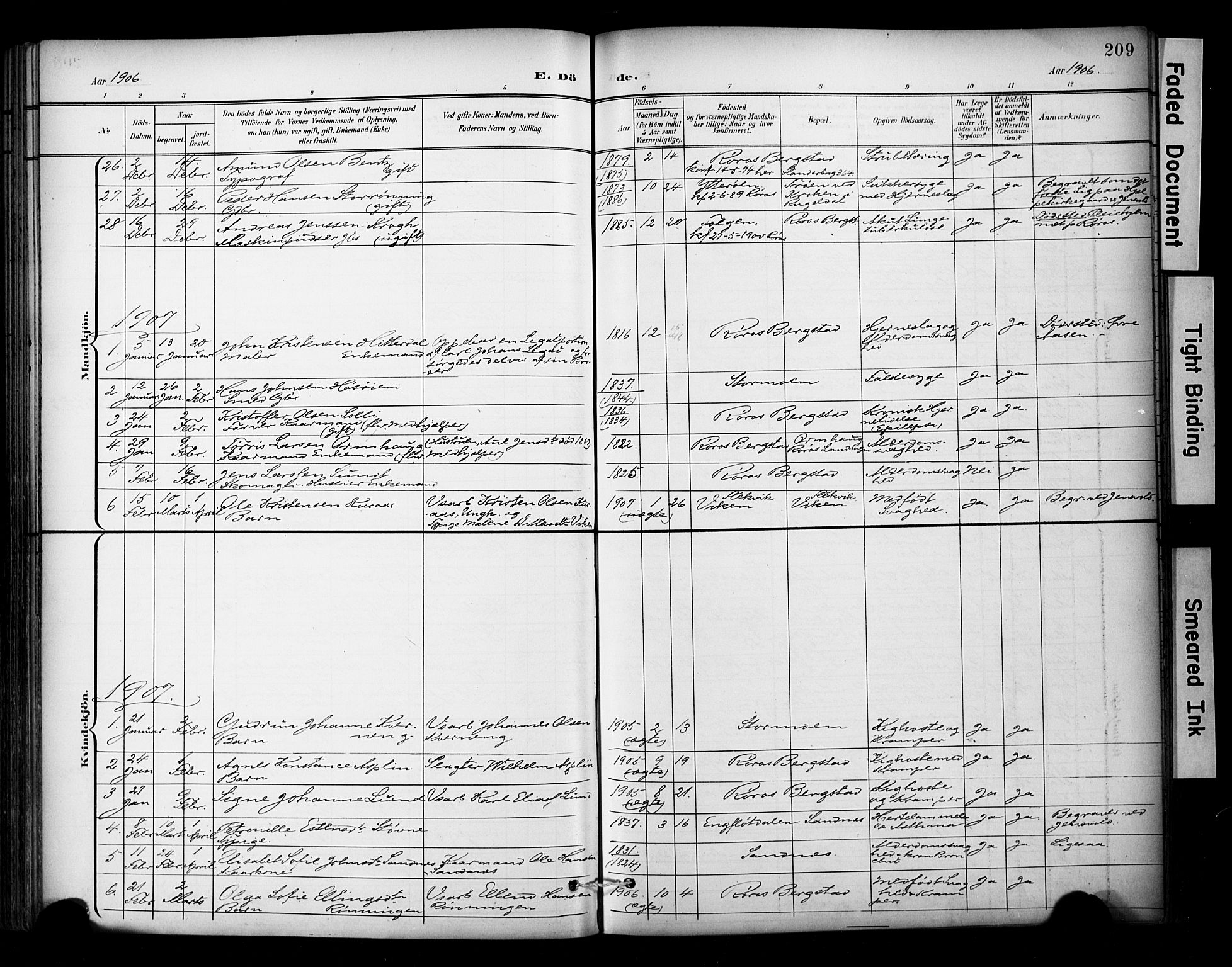 Ministerialprotokoller, klokkerbøker og fødselsregistre - Sør-Trøndelag, SAT/A-1456/681/L0936: Parish register (official) no. 681A14, 1899-1908, p. 209
