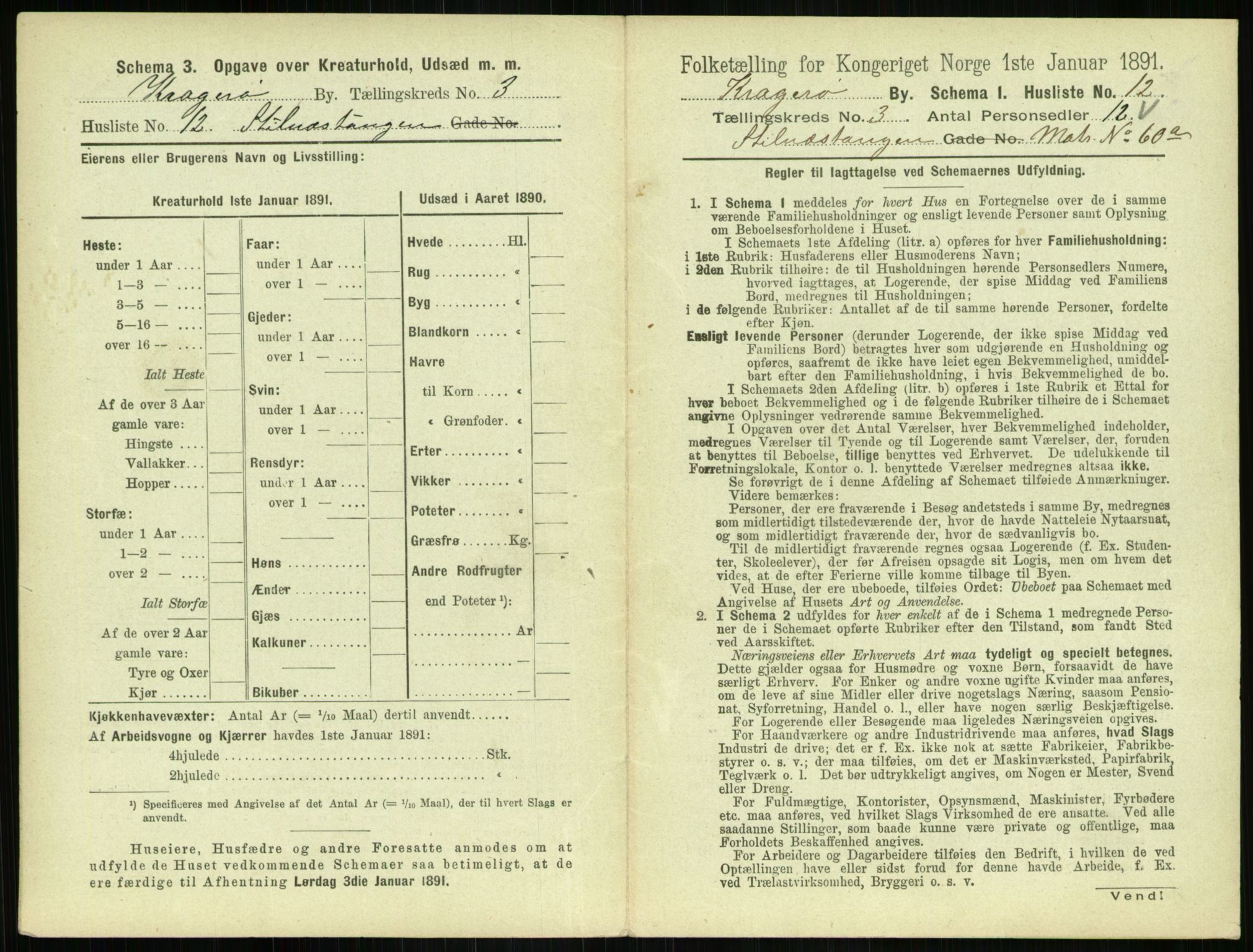 RA, 1891 census for 0801 Kragerø, 1891, p. 358