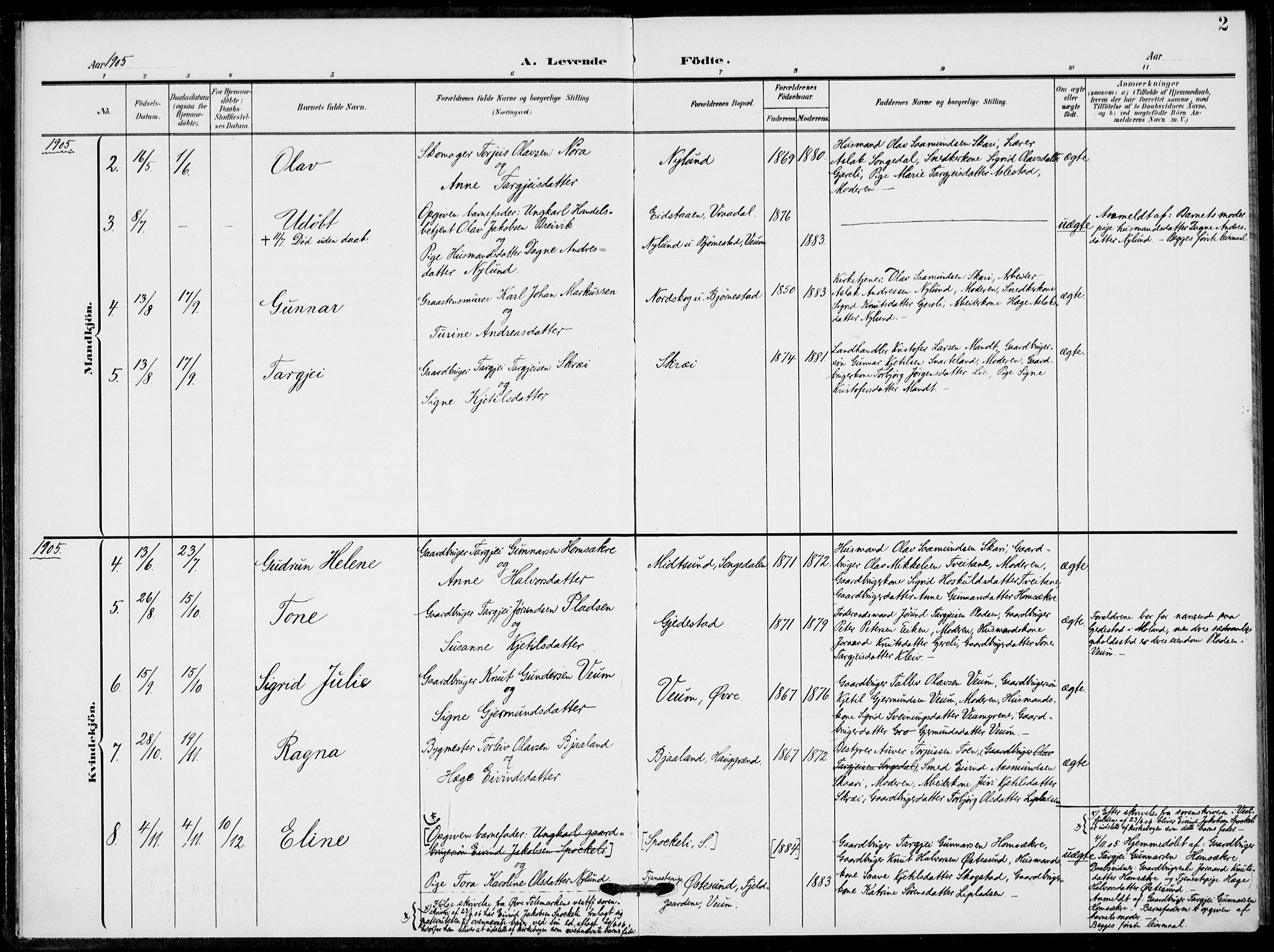 Fyresdal kirkebøker, SAKO/A-263/F/Fb/L0004: Parish register (official) no. II 4, 1903-1920, p. 2