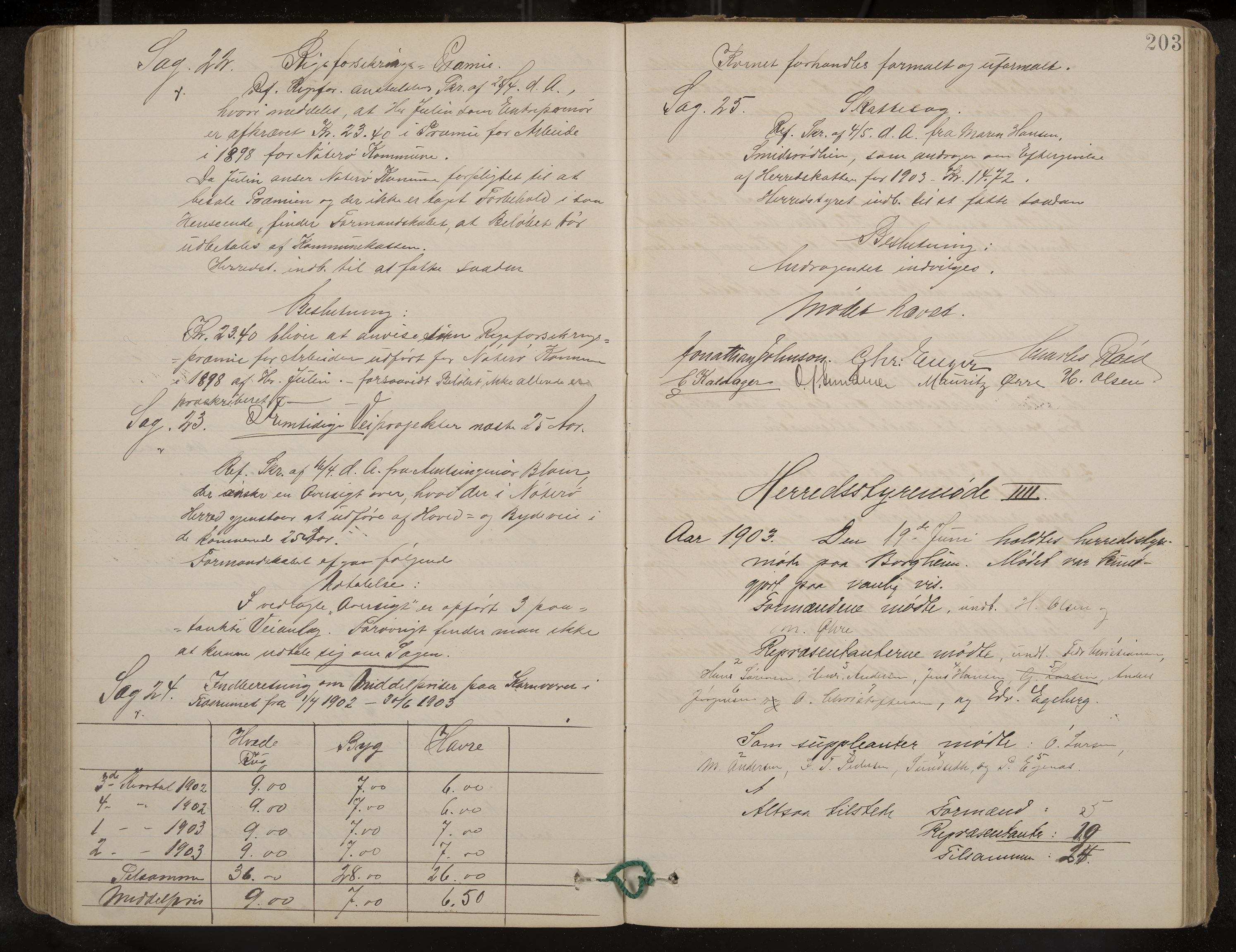 Nøtterøy formannskap og sentraladministrasjon, IKAK/0722021-1/A/Aa/L0005: Møtebok med register, 1896-1905, p. 203