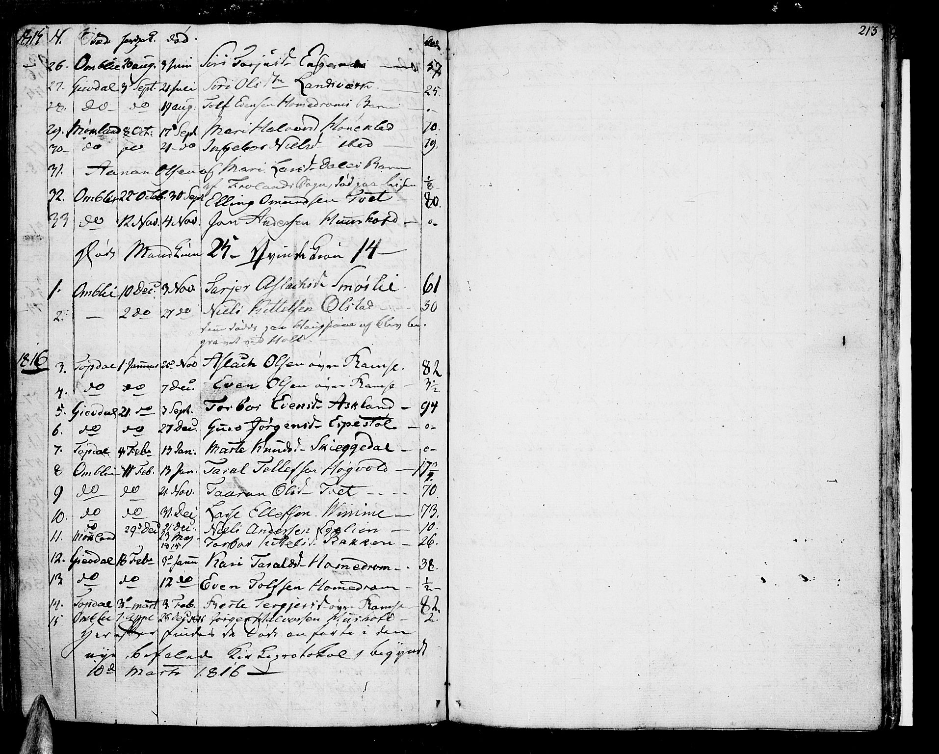 Åmli sokneprestkontor, AV/SAK-1111-0050/F/Fa/Fac/L0005: Parish register (official) no. A 5, 1796-1816, p. 213