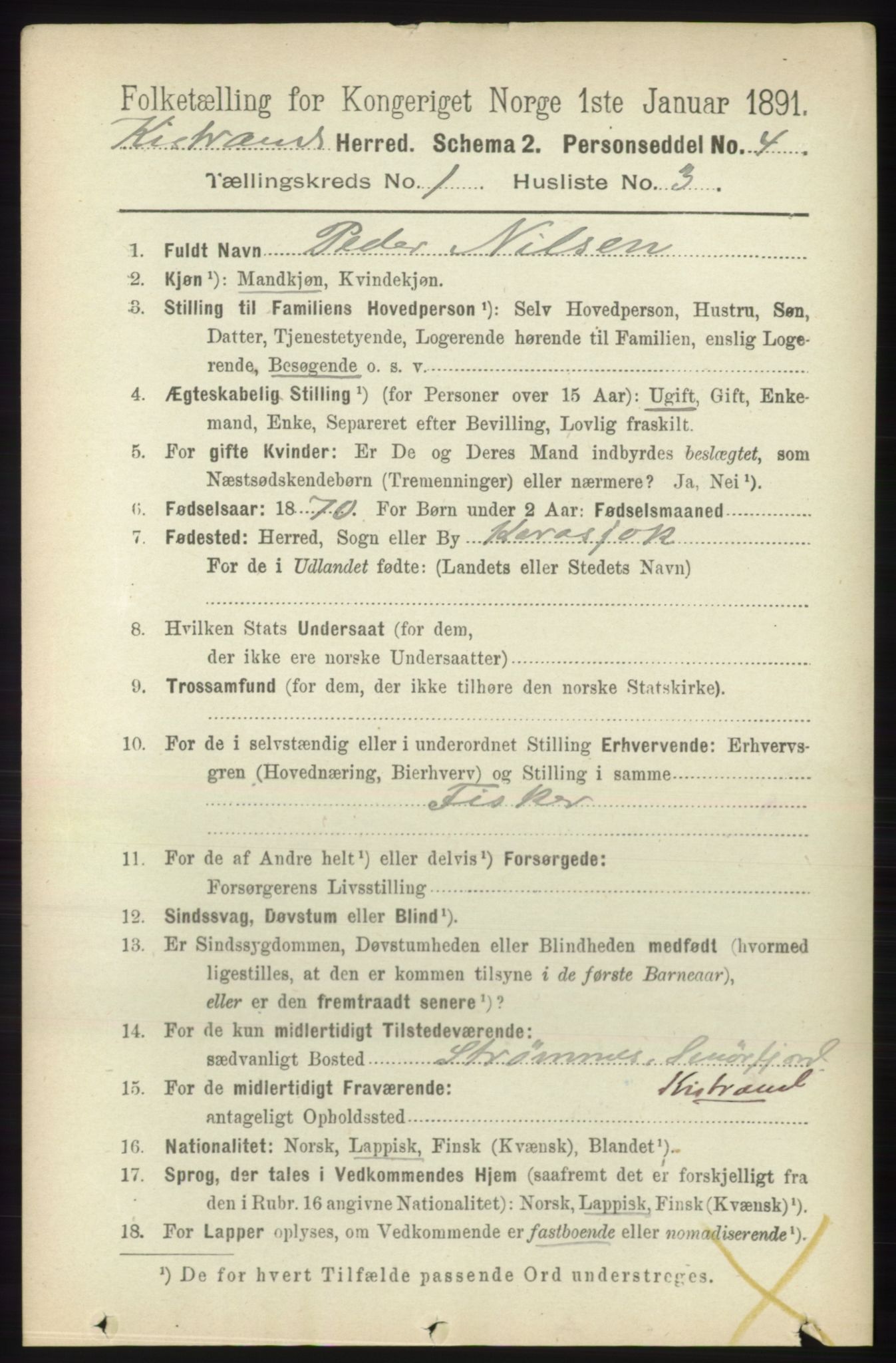 RA, 1891 census for 2020 Kistrand, 1891, p. 100