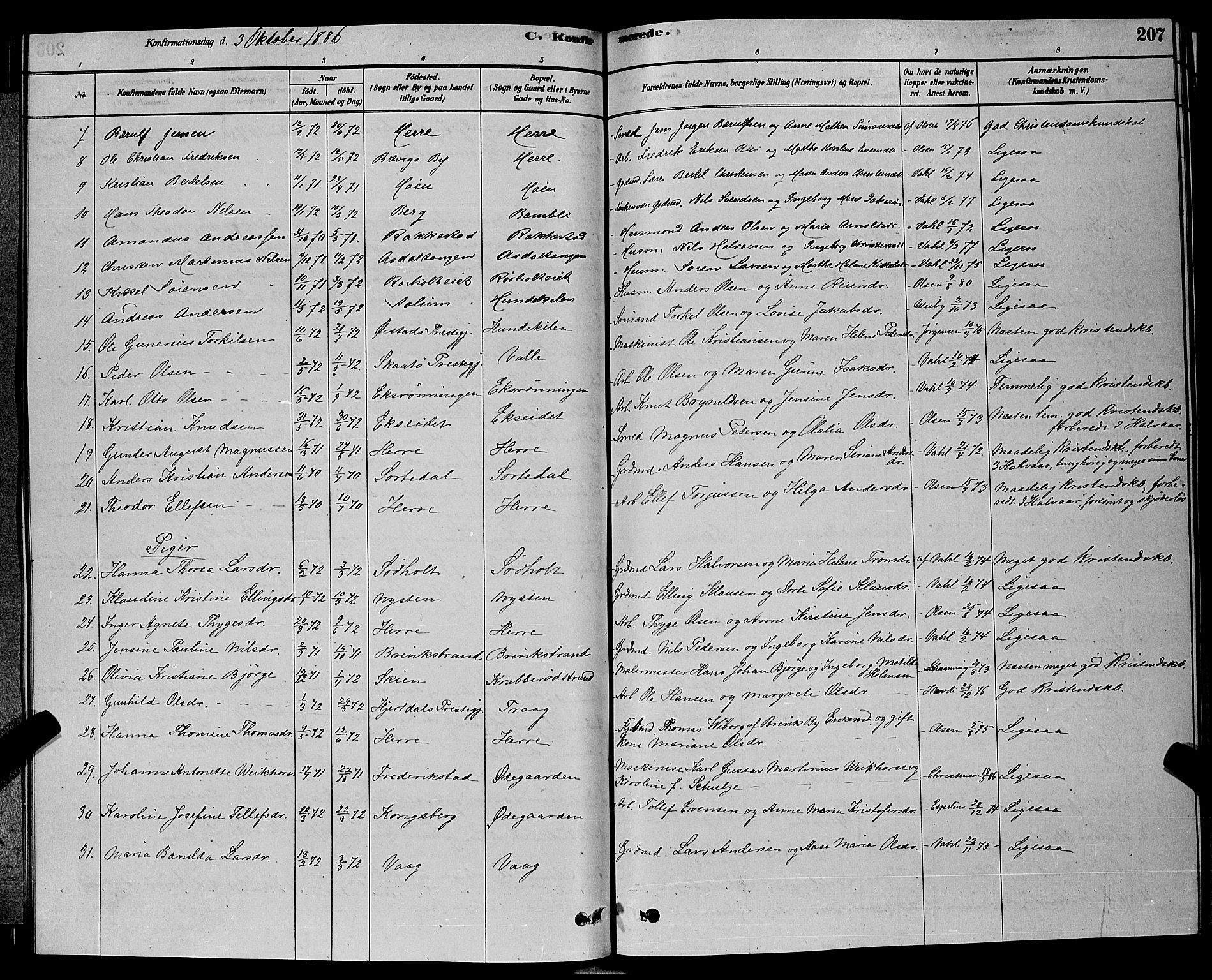 Bamble kirkebøker, AV/SAKO-A-253/G/Ga/L0008: Parish register (copy) no. I 8, 1878-1888, p. 207