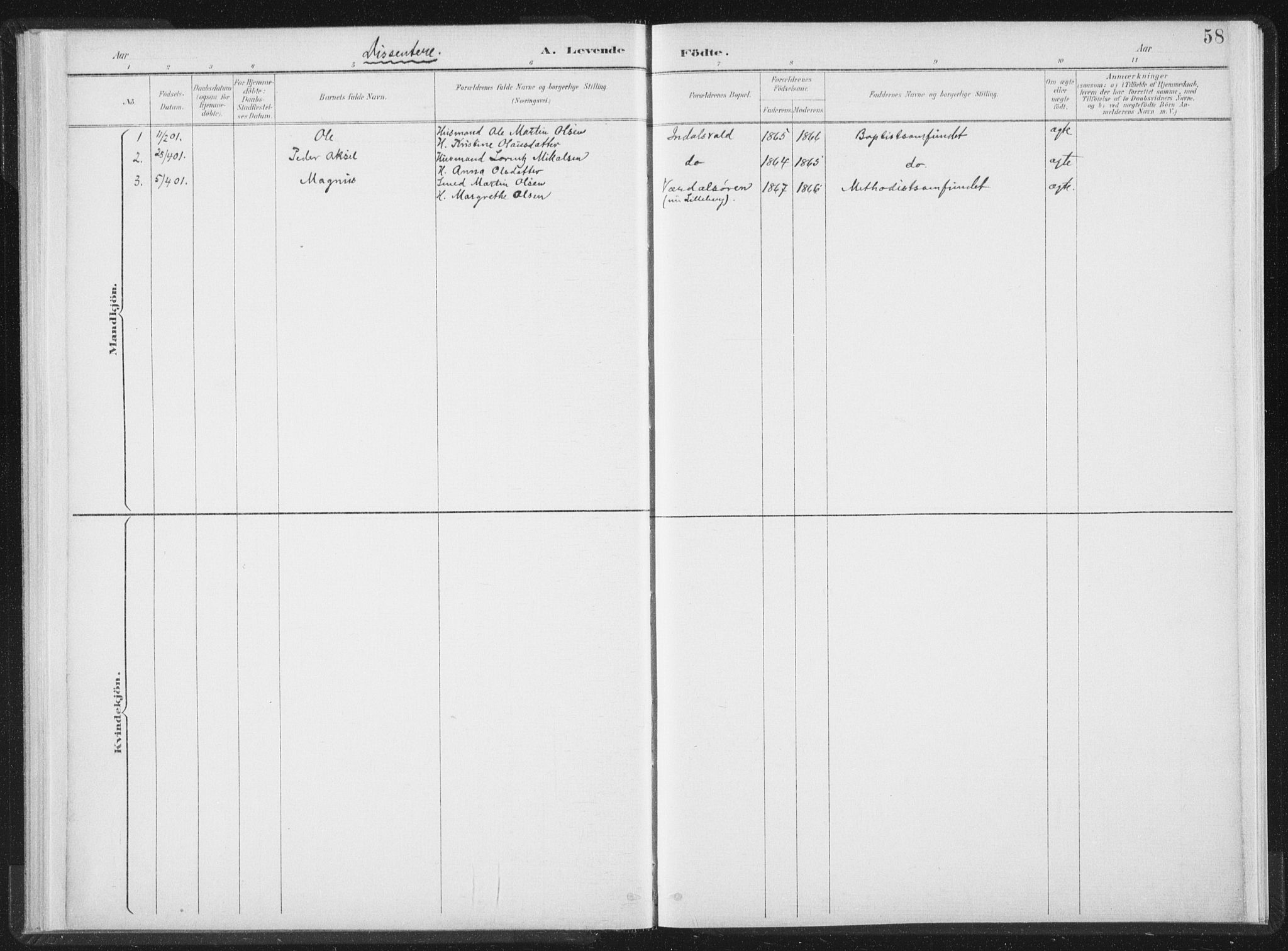 Ministerialprotokoller, klokkerbøker og fødselsregistre - Nord-Trøndelag, AV/SAT-A-1458/724/L0263: Parish register (official) no. 724A01, 1891-1907, p. 58