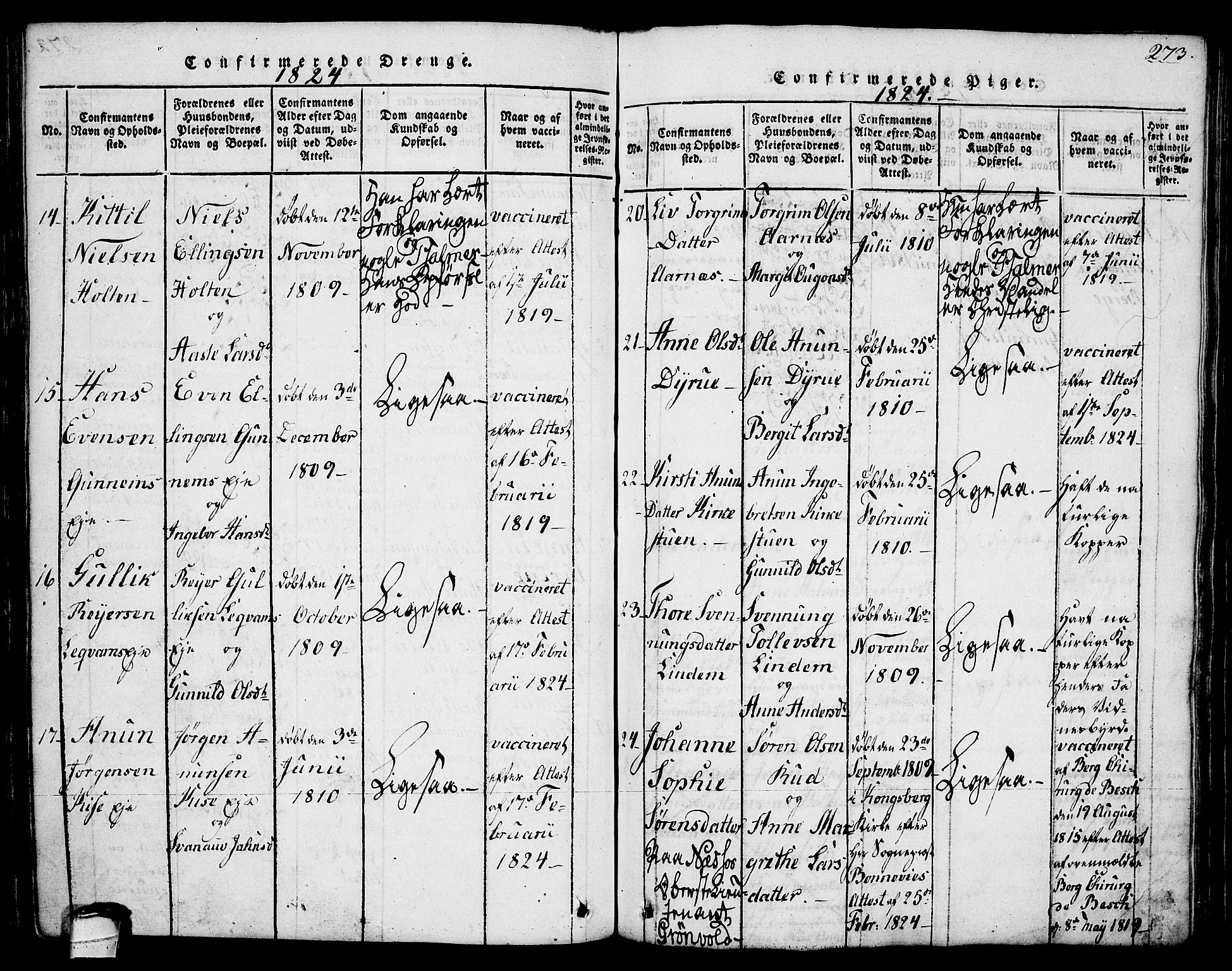 Sauherad kirkebøker, AV/SAKO-A-298/G/Ga/L0001: Parish register (copy) no. I 1, 1815-1827, p. 273