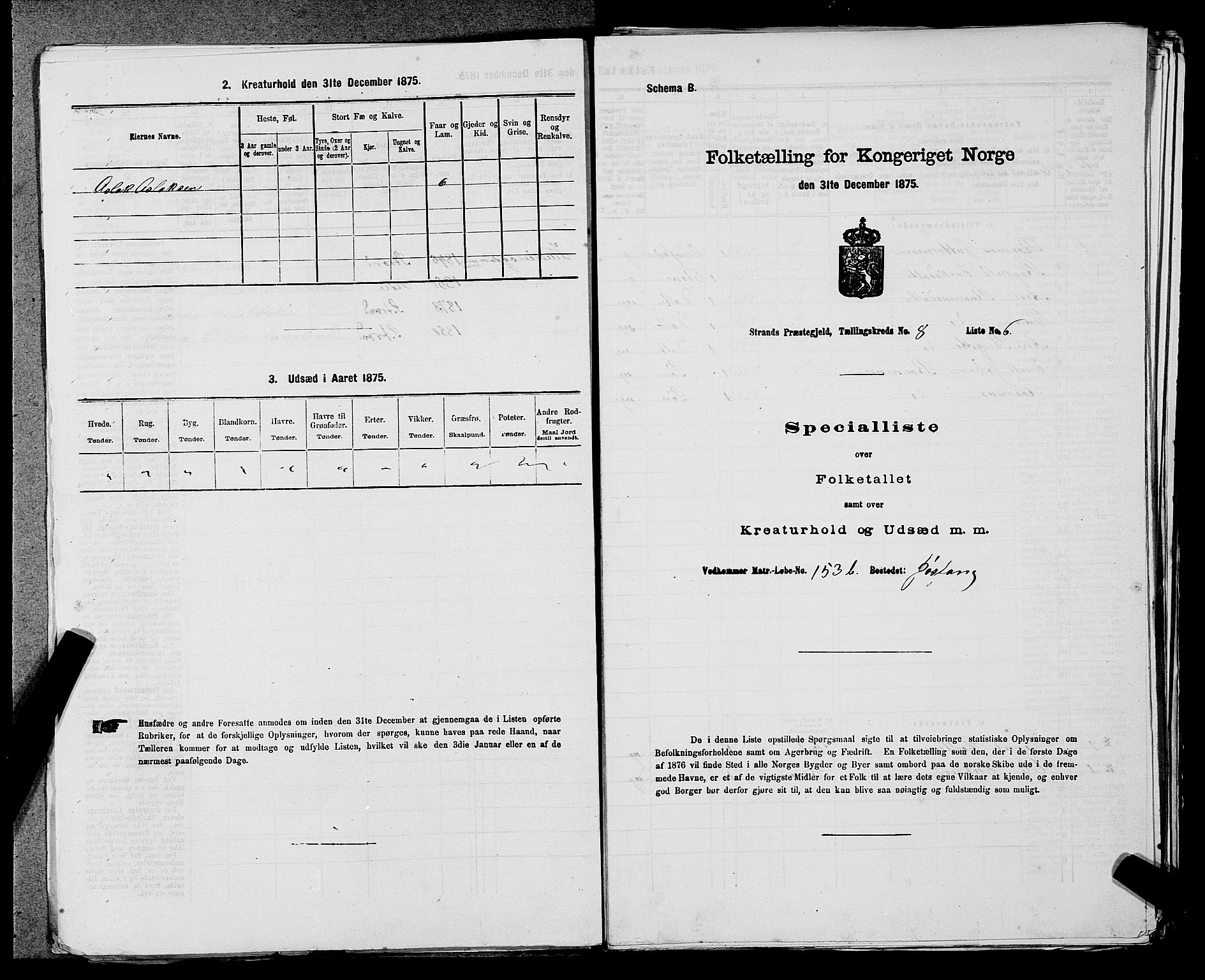 SAST, 1875 census for 1130P Strand, 1875, p. 732