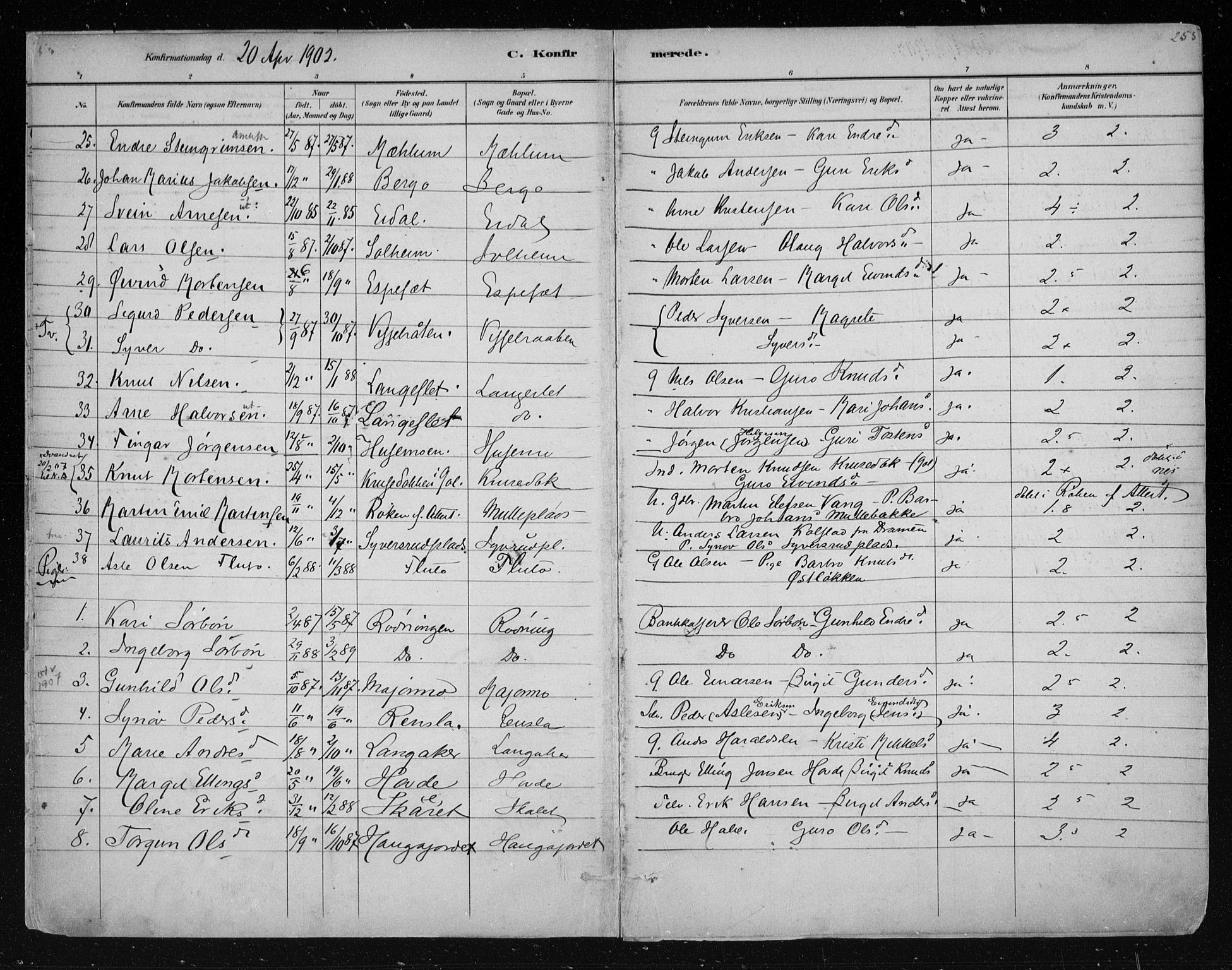 Nes kirkebøker, AV/SAKO-A-236/F/Fa/L0011: Parish register (official) no. 11, 1881-1912, p. 255