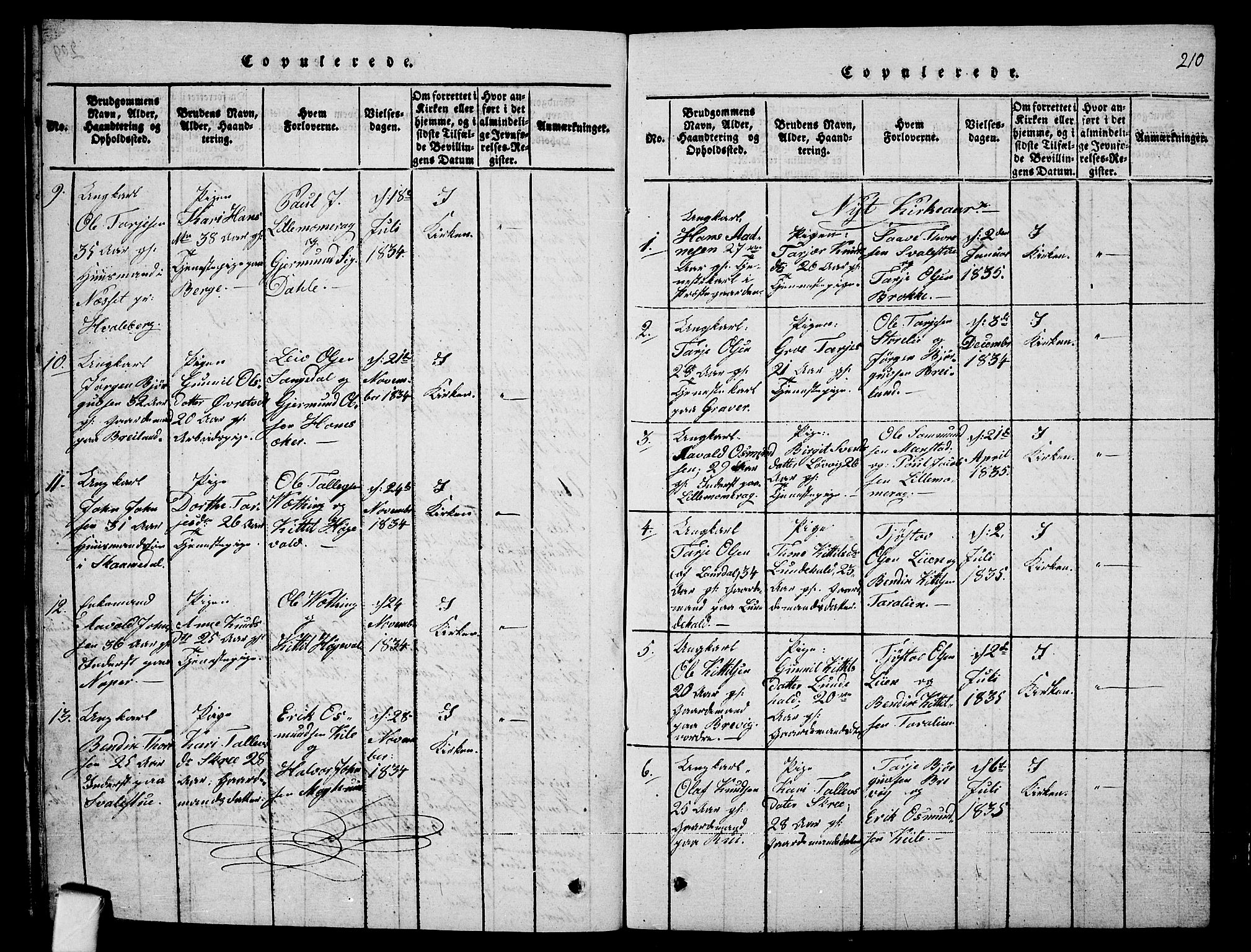 Fyresdal kirkebøker, SAKO/A-263/G/Ga/L0001: Parish register (copy) no. I 1, 1816-1840, p. 210