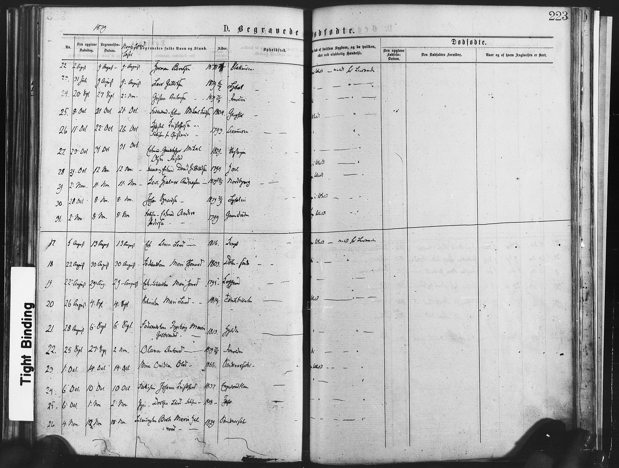 Nannestad prestekontor Kirkebøker, AV/SAO-A-10414a/F/Fa/L0013: Parish register (official) no. I 13, 1873-1880, p. 223