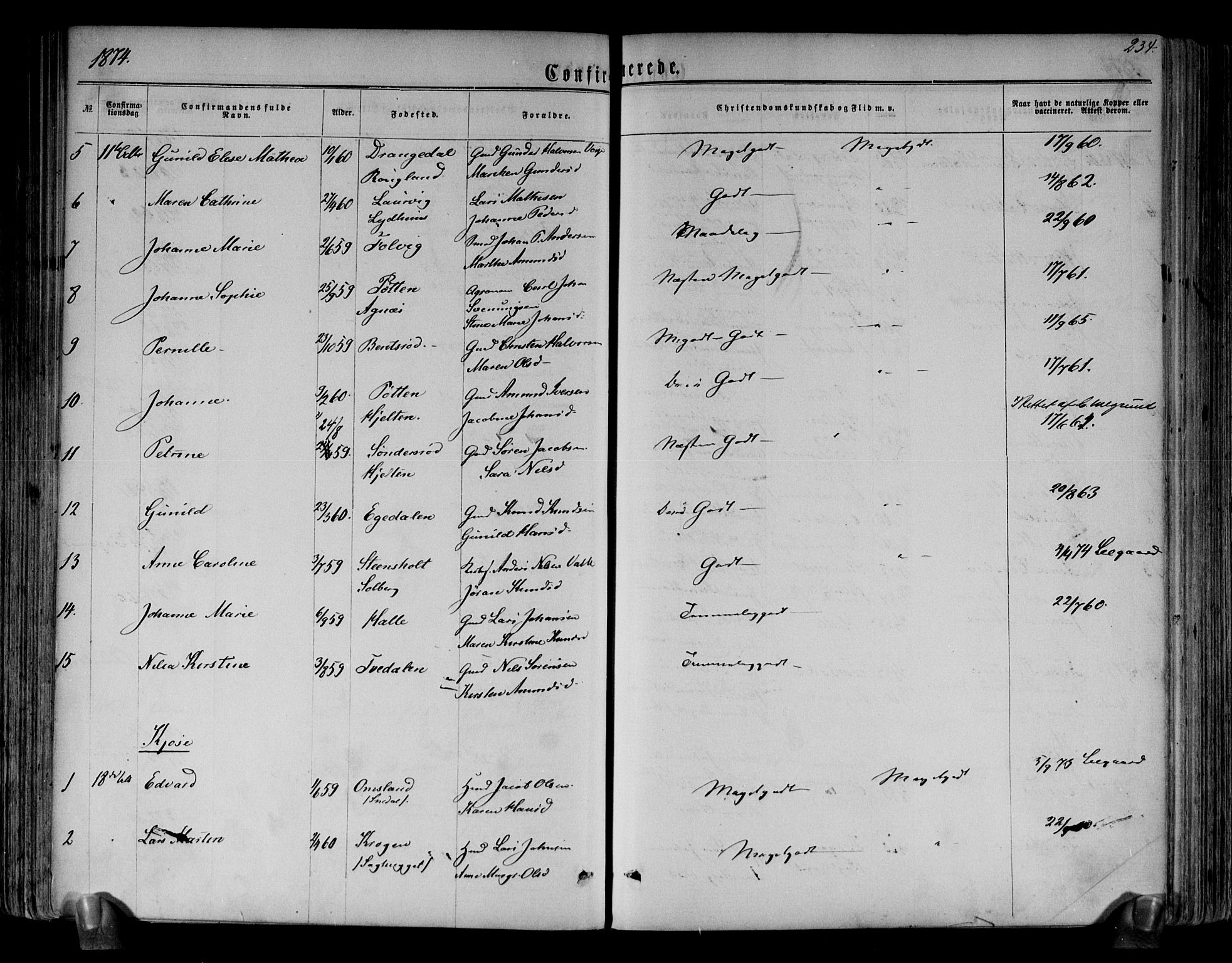 Brunlanes kirkebøker, AV/SAKO-A-342/F/Fa/L0005: Parish register (official) no. I 5, 1862-1877, p. 234