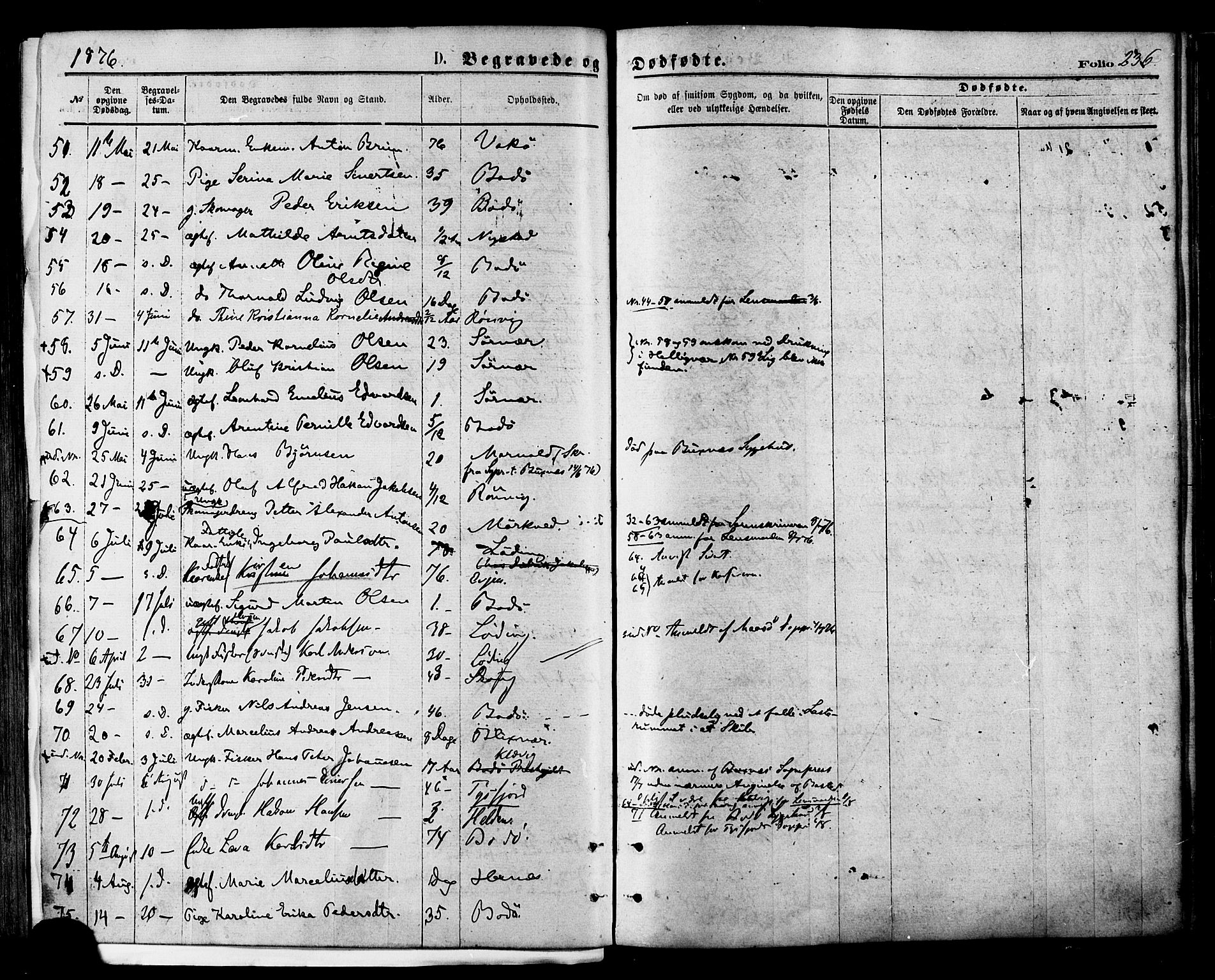 Ministerialprotokoller, klokkerbøker og fødselsregistre - Nordland, AV/SAT-A-1459/801/L0009: Parish register (official) no. 801A09, 1876-1883, p. 236