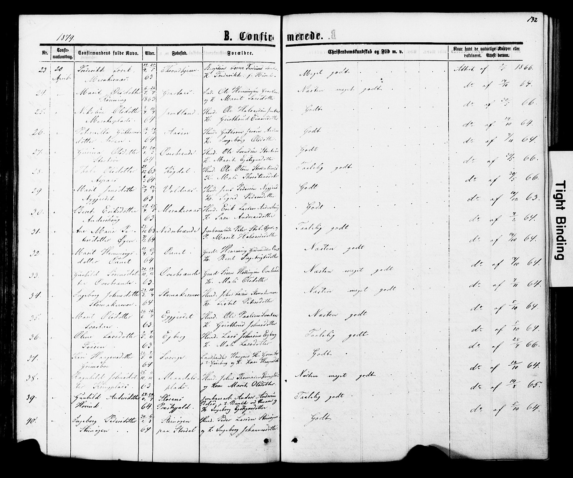 Ministerialprotokoller, klokkerbøker og fødselsregistre - Nord-Trøndelag, SAT/A-1458/706/L0049: Parish register (copy) no. 706C01, 1864-1895, p. 132