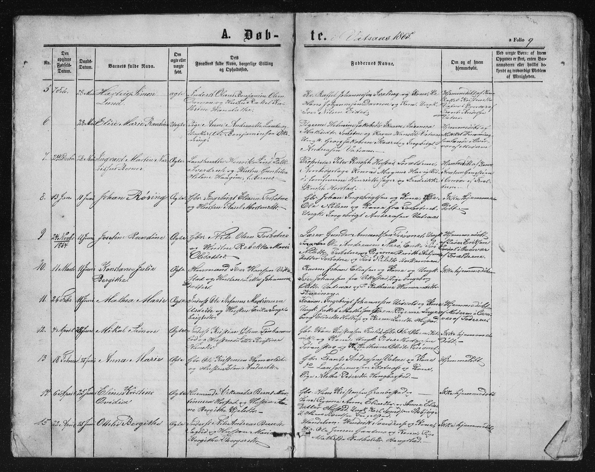 Ministerialprotokoller, klokkerbøker og fødselsregistre - Nordland, AV/SAT-A-1459/810/L0158: Parish register (copy) no. 810C02 /1, 1863-1883, p. 9