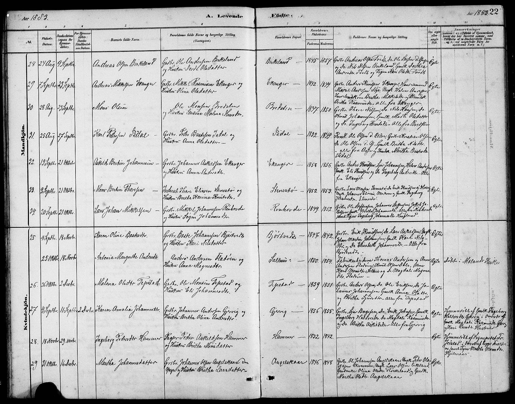 Hamre sokneprestembete, AV/SAB-A-75501/H/Ha/Hab: Parish register (copy) no. B 3, 1881-1898, p. 22