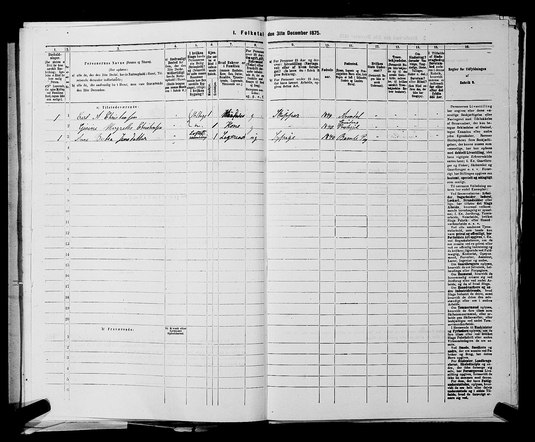 SAKO, 1875 census for 0801P Kragerø, 1875, p. 917