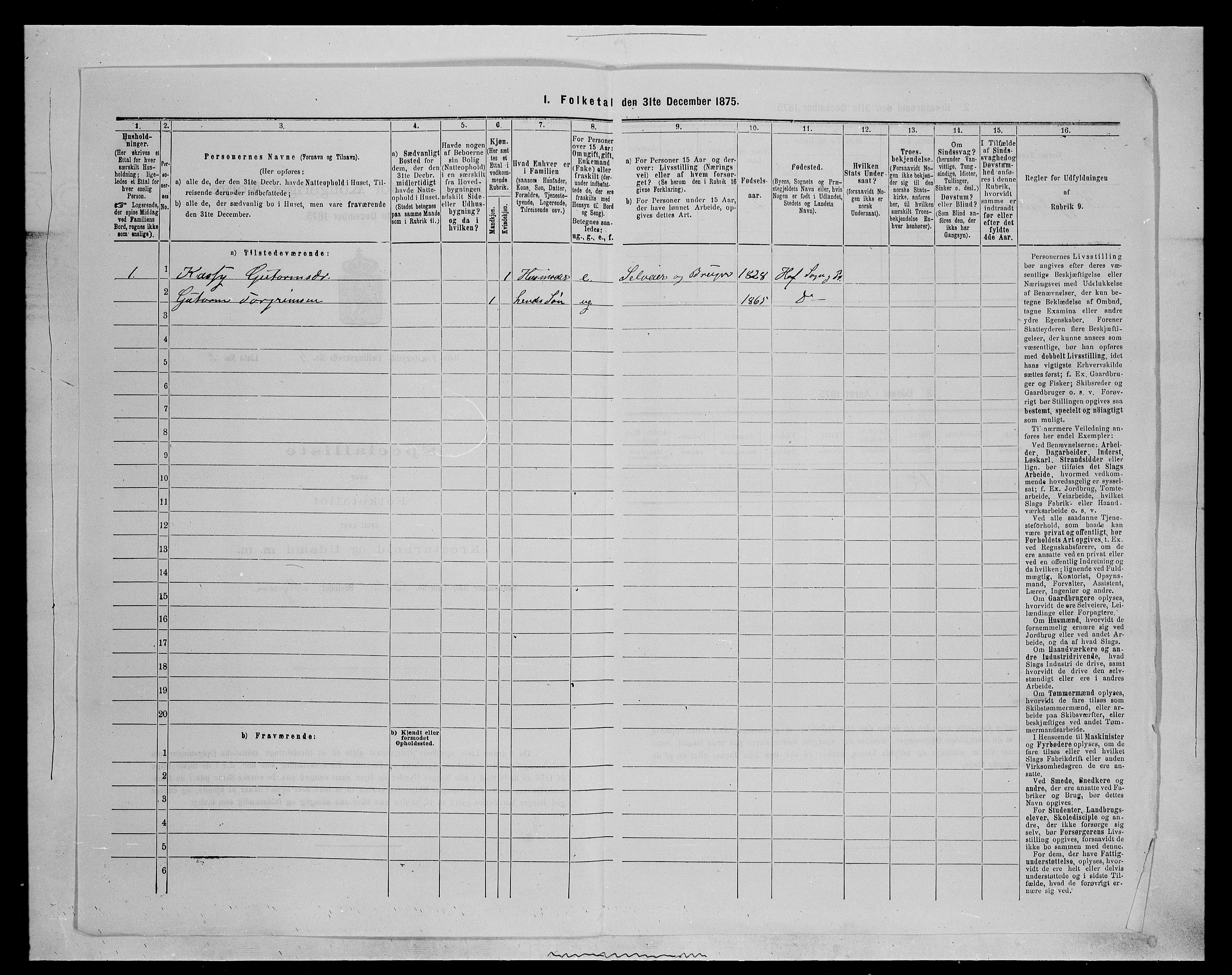 SAH, 1875 census for 0424P Hof, 1875, p. 685