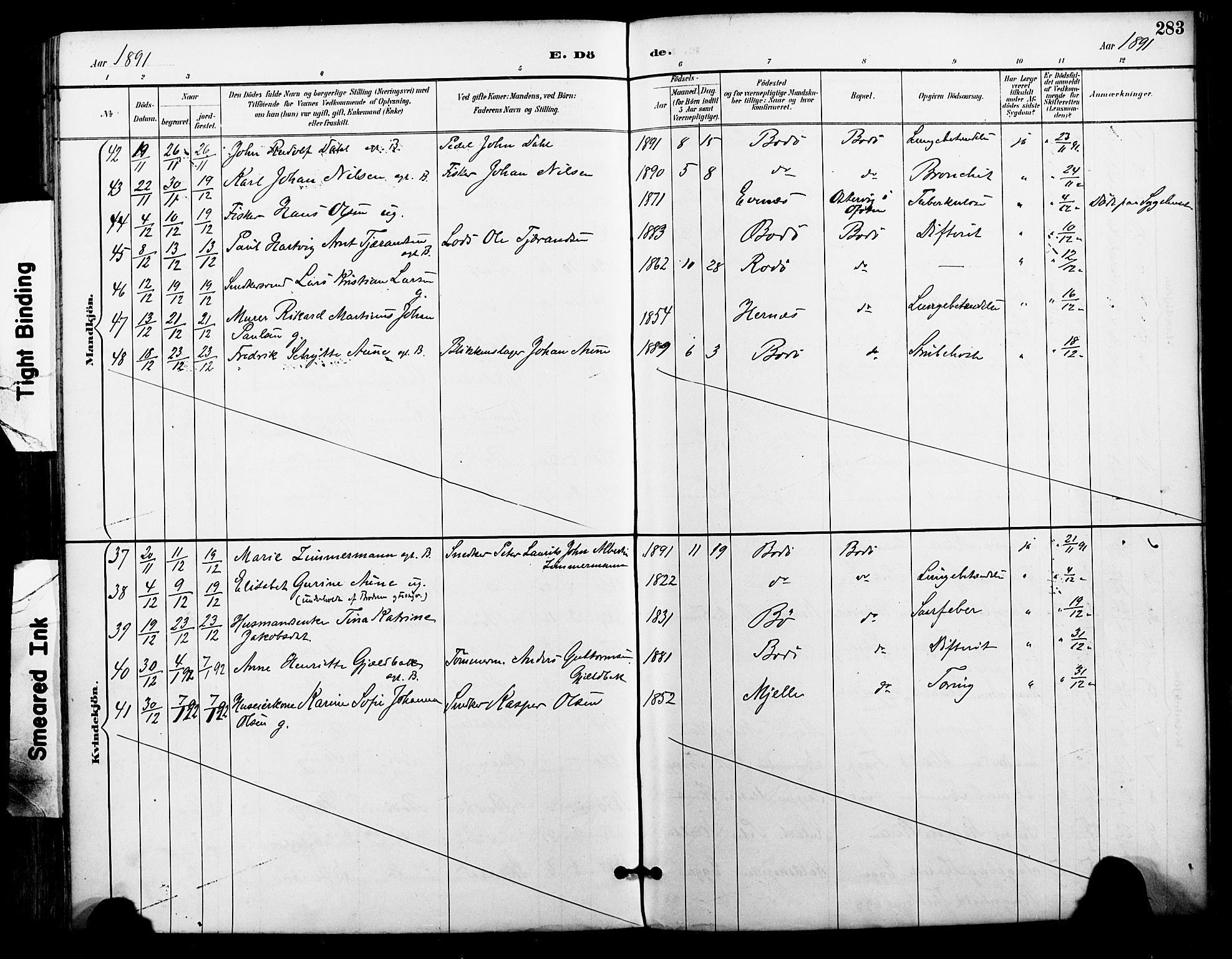 Ministerialprotokoller, klokkerbøker og fødselsregistre - Nordland, AV/SAT-A-1459/801/L0010: Parish register (official) no. 801A10, 1888-1899, p. 283