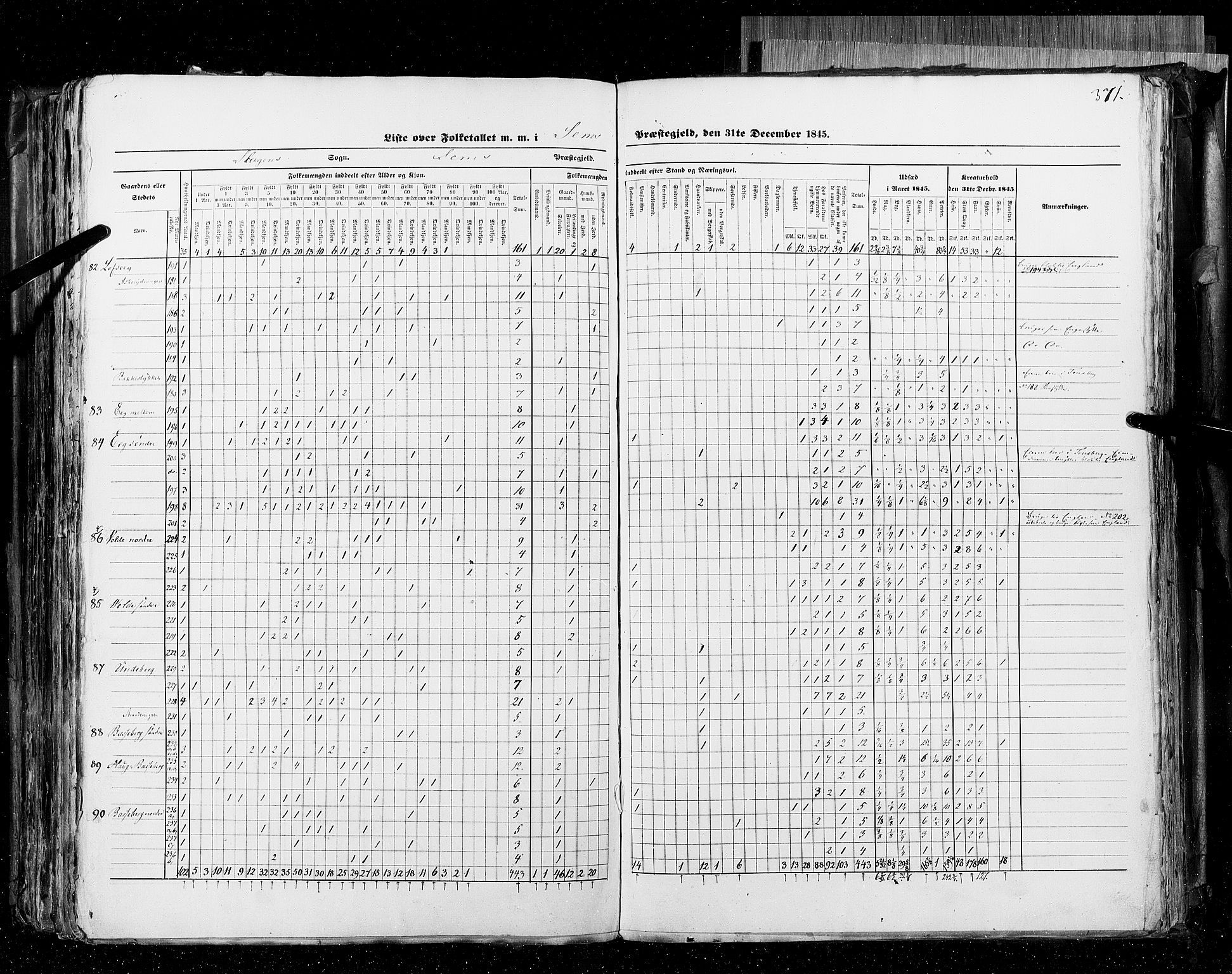 RA, Census 1845, vol. 4: Buskerud amt og Jarlsberg og Larvik amt, 1845, p. 371