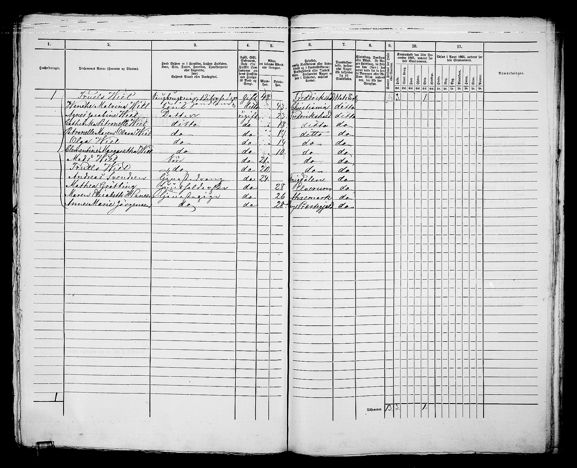 RA, 1865 census for Fredrikshald, 1865, p. 338