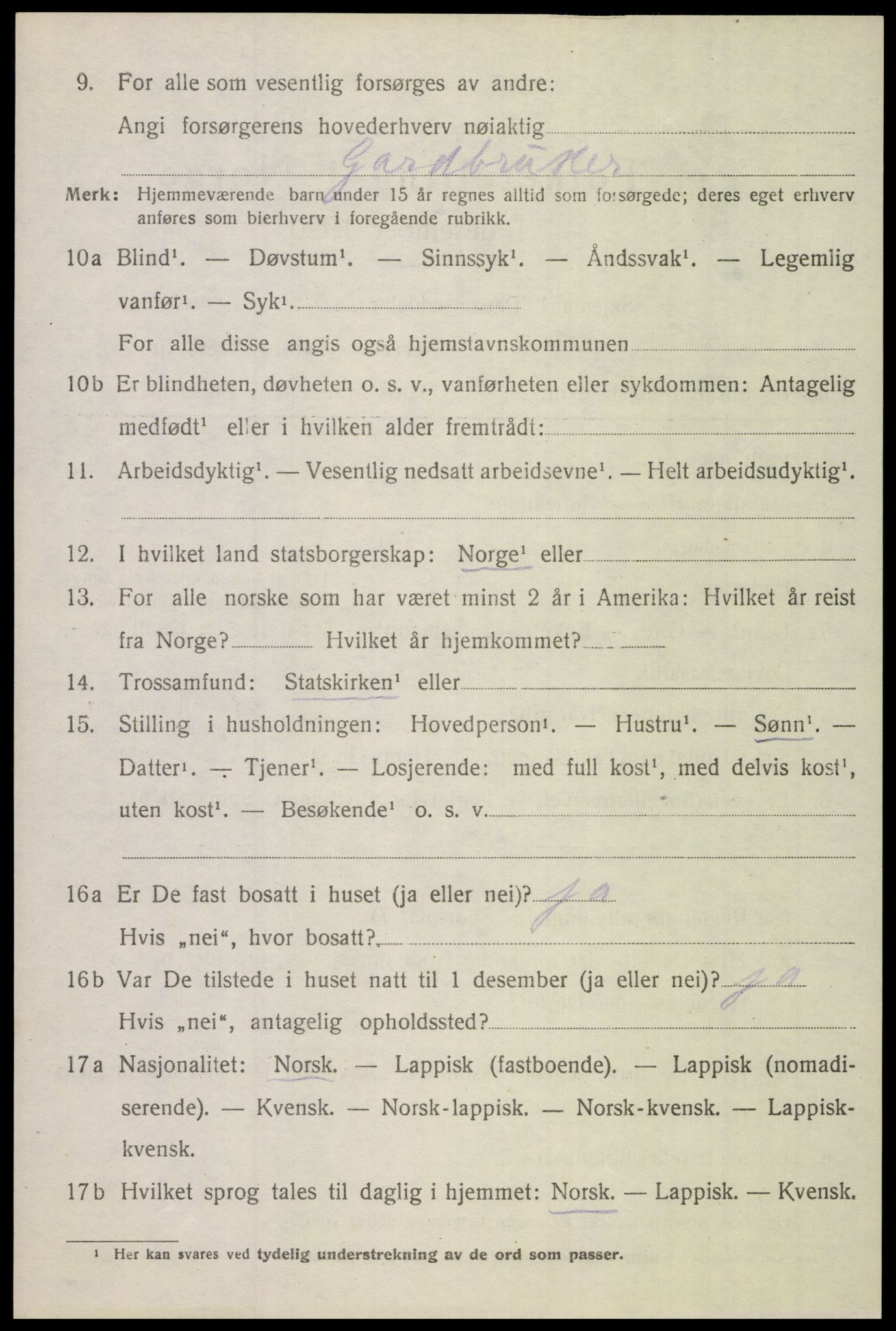 SAT, 1920 census for Bodin, 1920, p. 3285