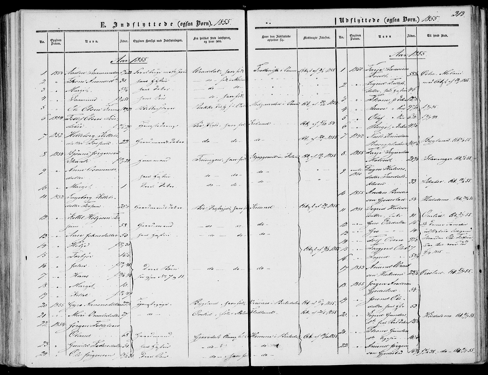 Fyresdal kirkebøker, SAKO/A-263/F/Fa/L0005: Parish register (official) no. I 5, 1855-1871, p. 313