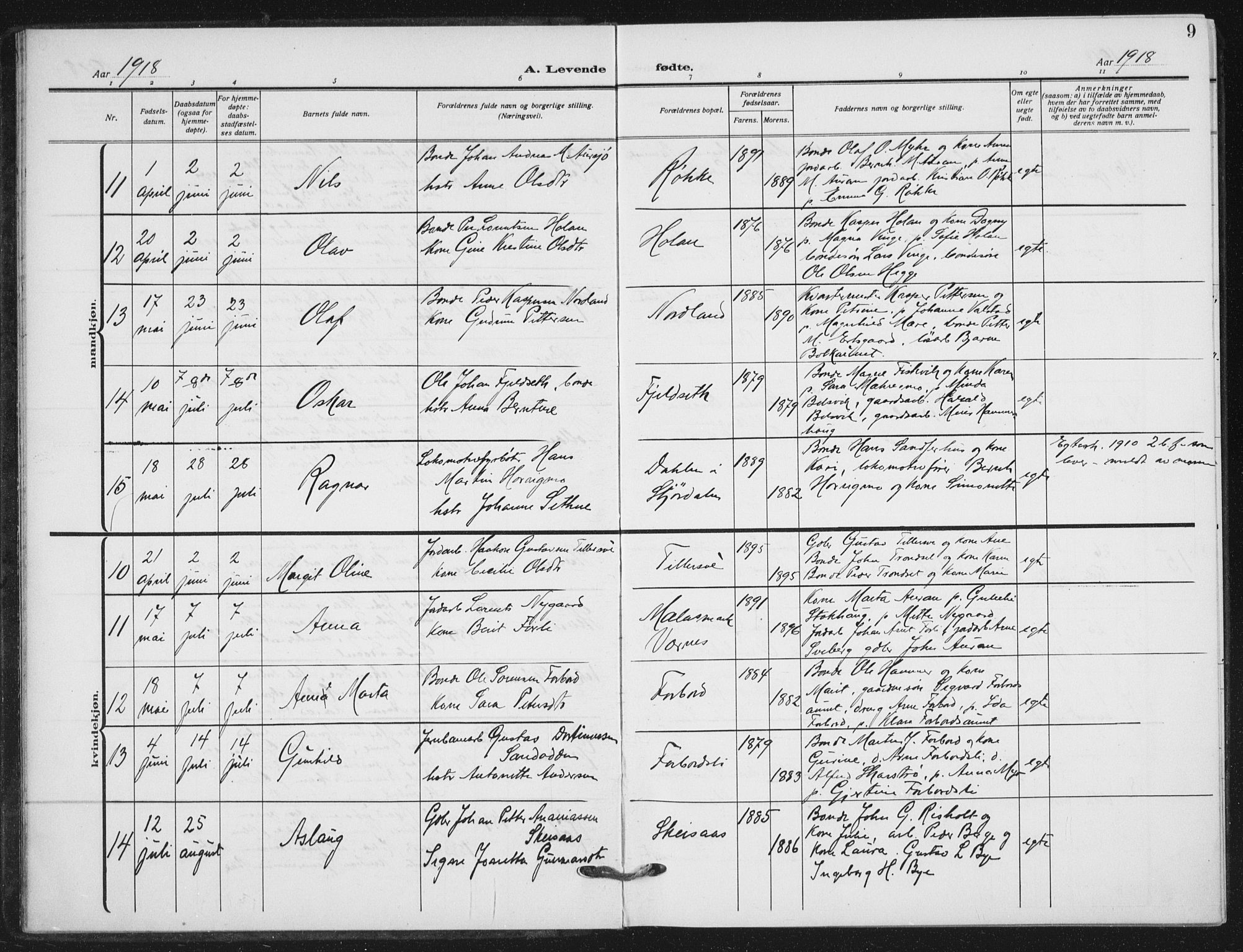 Ministerialprotokoller, klokkerbøker og fødselsregistre - Nord-Trøndelag, AV/SAT-A-1458/712/L0102: Parish register (official) no. 712A03, 1916-1929, p. 9