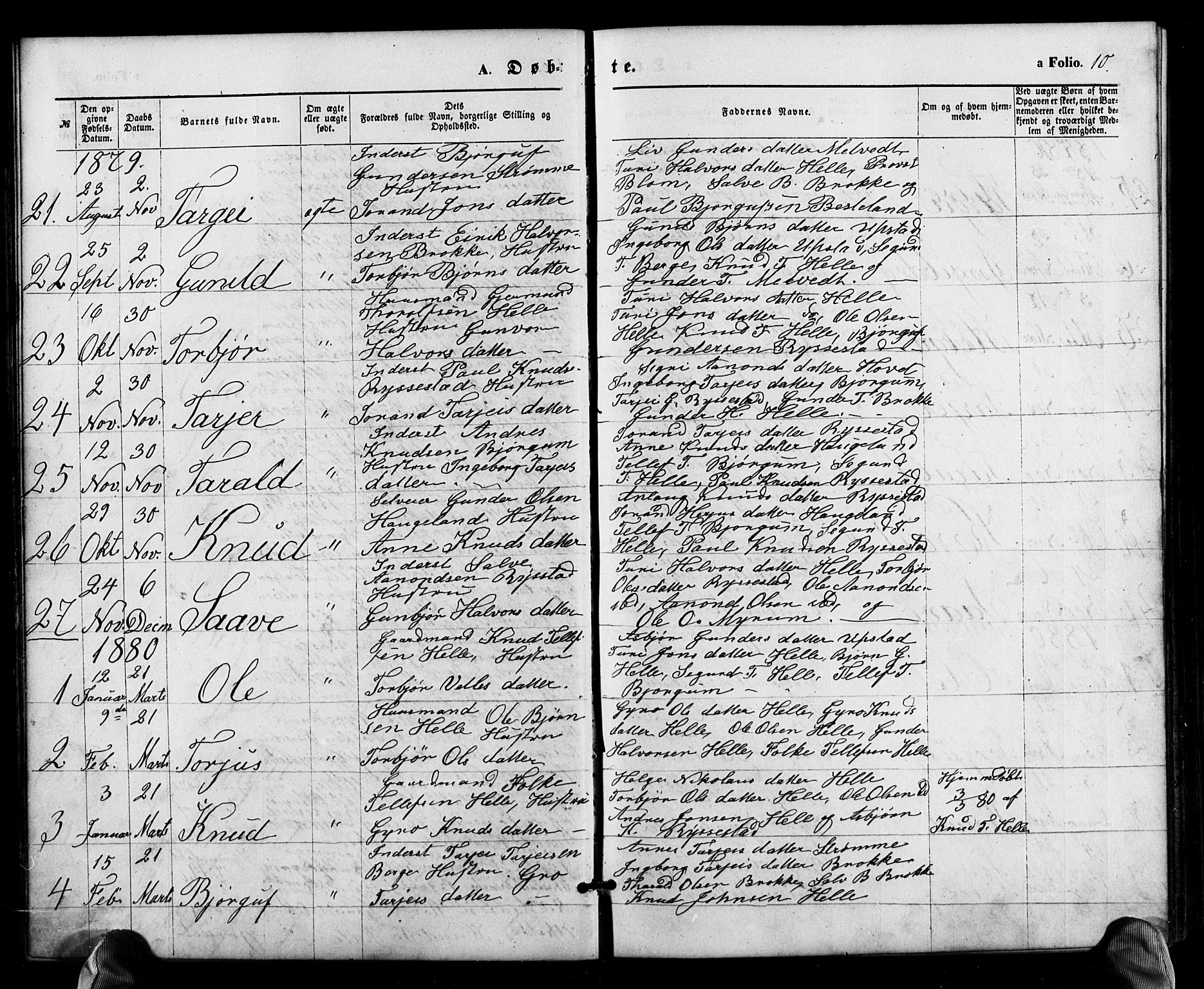 Valle sokneprestkontor, SAK/1111-0044/F/Fb/Fbb/L0002: Parish register (copy) no. B 2, 1875-1921, p. 10