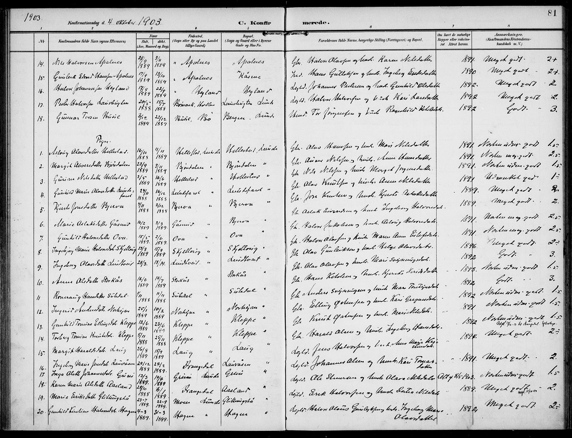 Lunde kirkebøker, AV/SAKO-A-282/F/Fa/L0004: Parish register (official) no. I 4, 1902-1913, p. 81