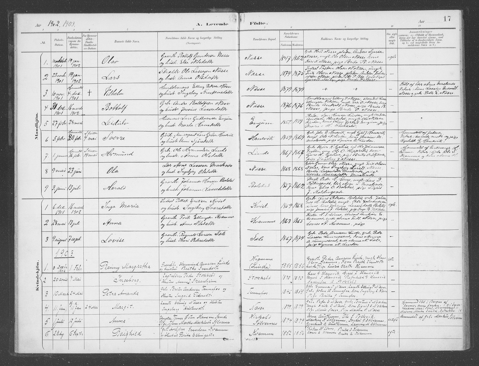 Balestrand sokneprestembete, SAB/A-79601: Parish register (official) no. D  2, 1891-1907, p. 17