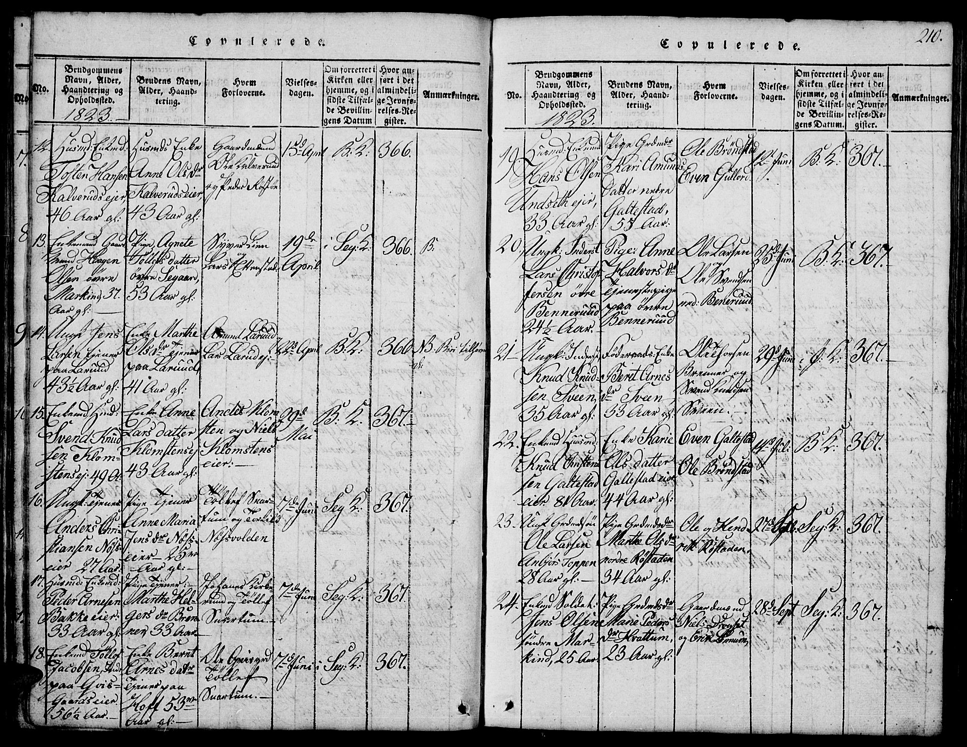Biri prestekontor, SAH/PREST-096/H/Ha/Hab/L0001: Parish register (copy) no. 1, 1814-1828, p. 210