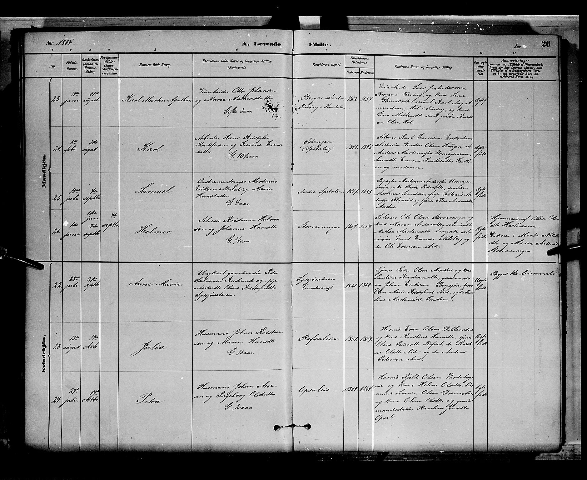 Stange prestekontor, AV/SAH-PREST-002/L/L0008: Parish register (copy) no. 8, 1882-1895, p. 26