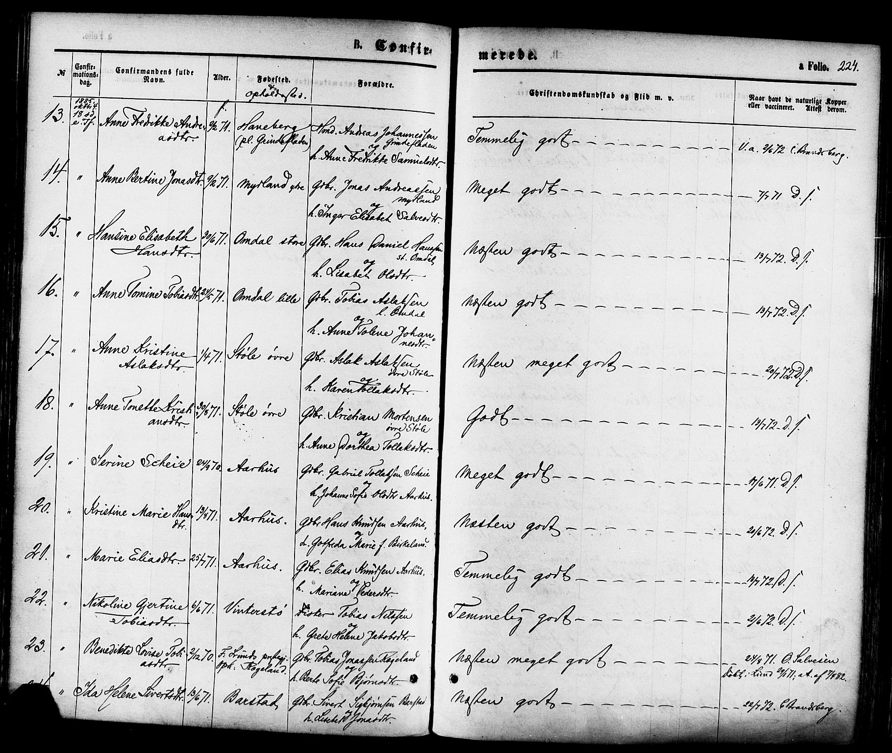 Sokndal sokneprestkontor, AV/SAST-A-101808: Parish register (official) no. A 10, 1874-1886, p. 224