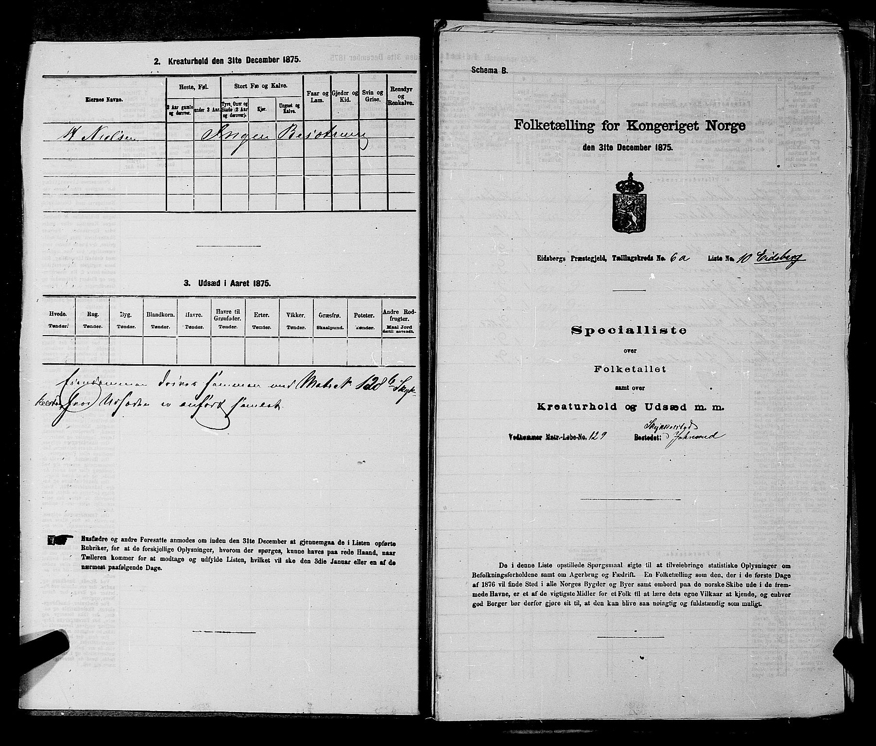 RA, 1875 census for 0125P Eidsberg, 1875, p. 1133