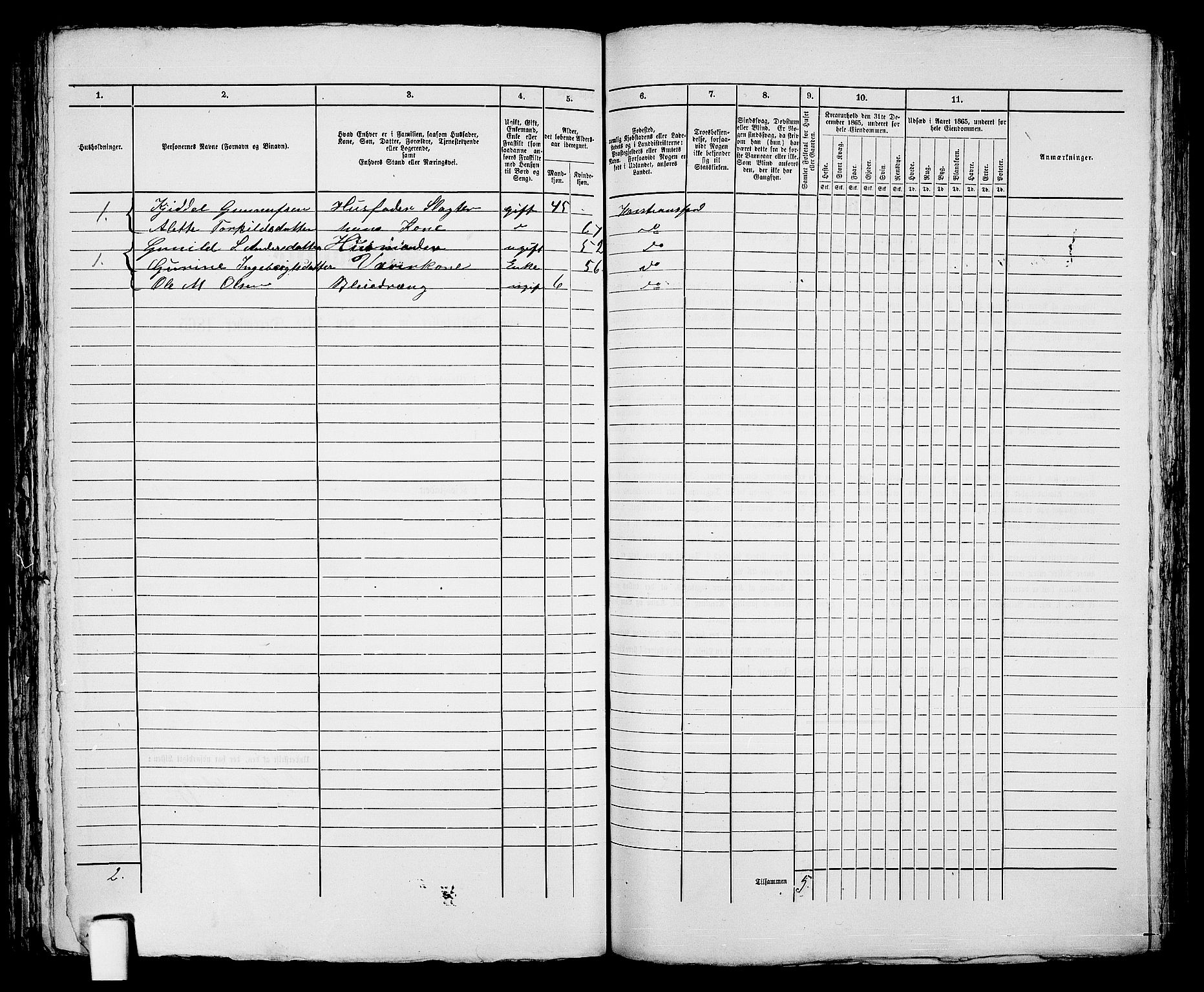 RA, 1865 census for Kristiansand, 1865, p. 1357