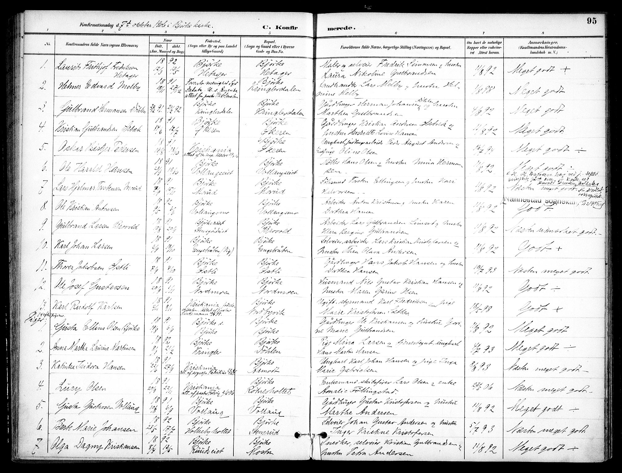 Nannestad prestekontor Kirkebøker, SAO/A-10414a/F/Fc/L0002: Parish register (official) no. III 2, 1893-1907, p. 95
