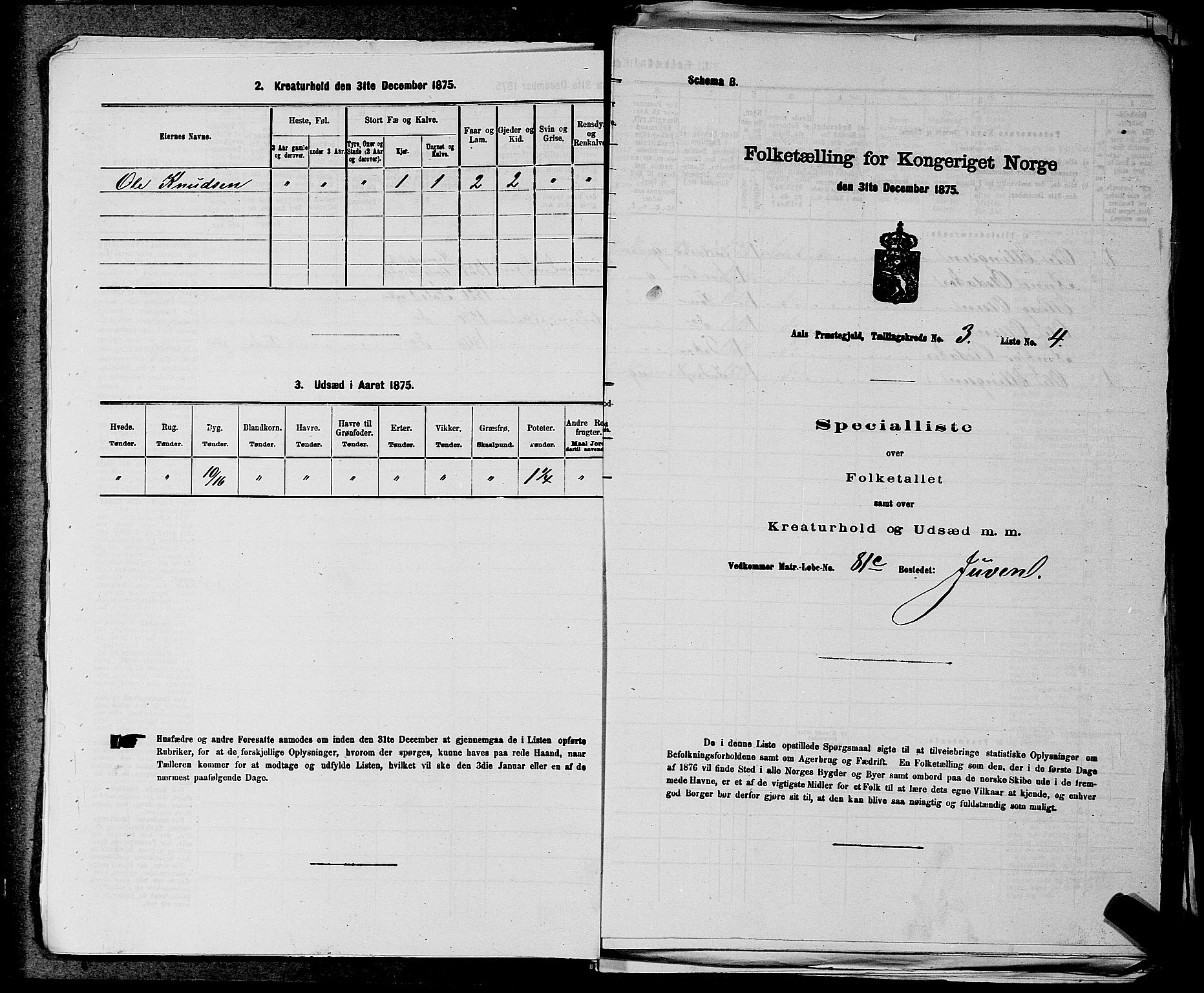 SAKO, 1875 census for 0619P Ål, 1875, p. 322