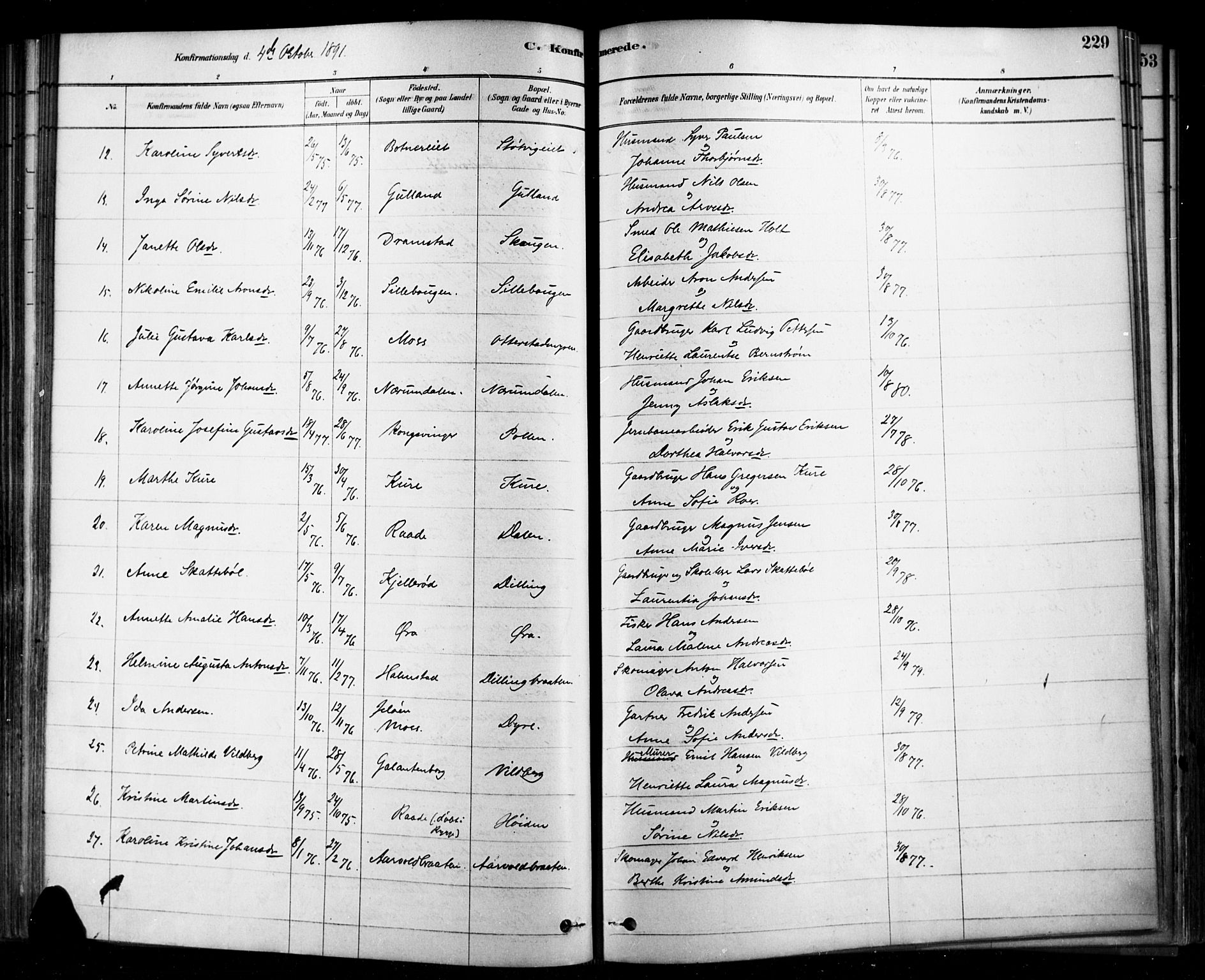 Rygge prestekontor Kirkebøker, SAO/A-10084b/F/Fa/L0007: Parish register (official) no. 7, 1878-1904, p. 229