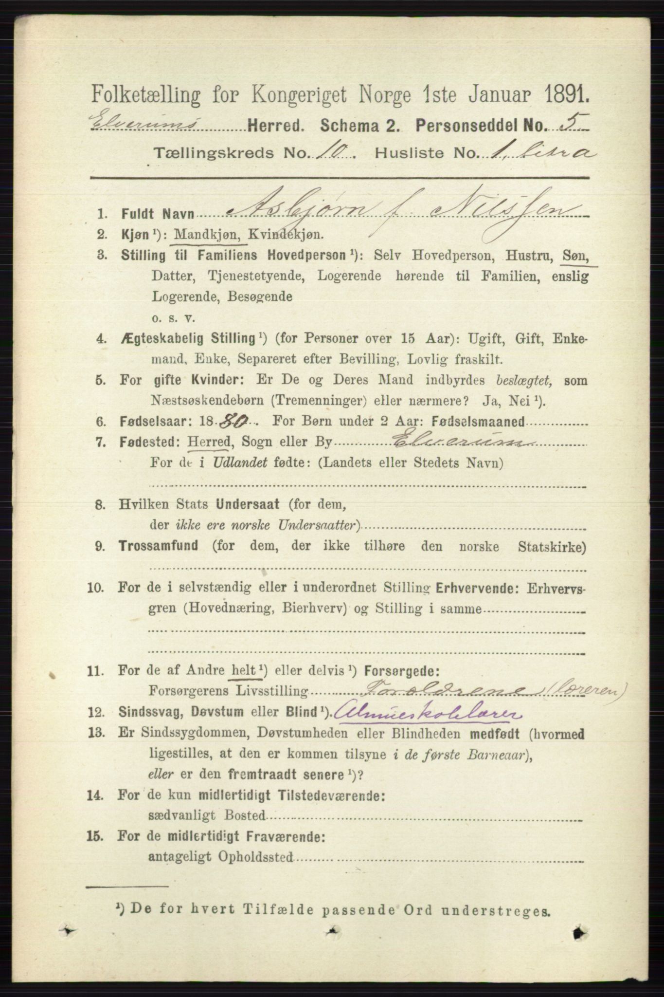 RA, 1891 census for 0427 Elverum, 1891, p. 8206