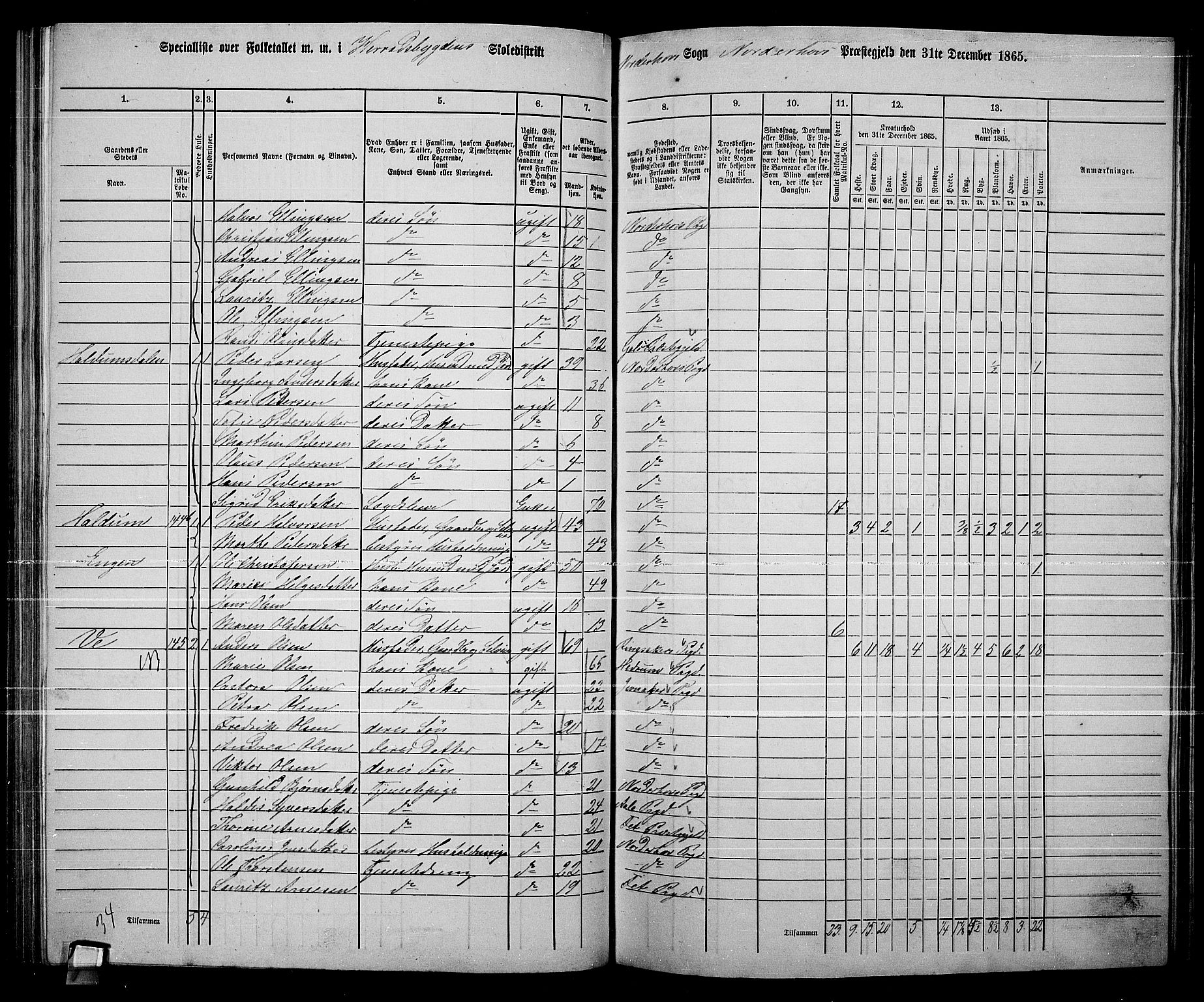 RA, 1865 census for Norderhov/Norderhov, Haug og Lunder, 1865, p. 175