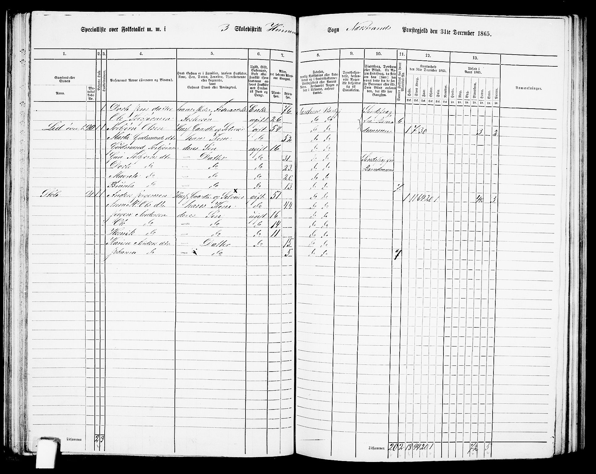 RA, 1865 census for Nedstrand, 1865, p. 54