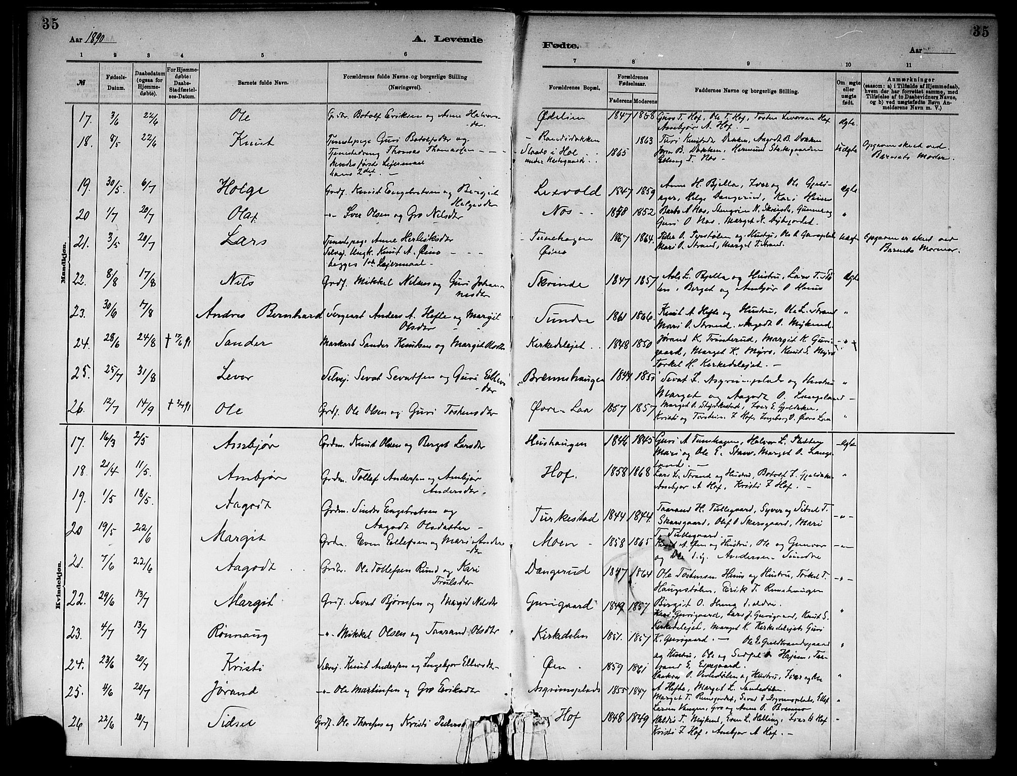 Ål kirkebøker, AV/SAKO-A-249/F/Fa/L0008: Parish register (official) no. I 8, 1882-1896, p. 35