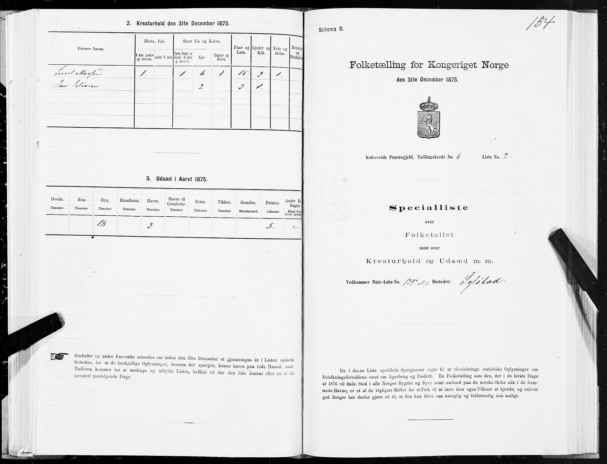 SAT, 1875 census for 1752P Kolvereid, 1875, p. 3134